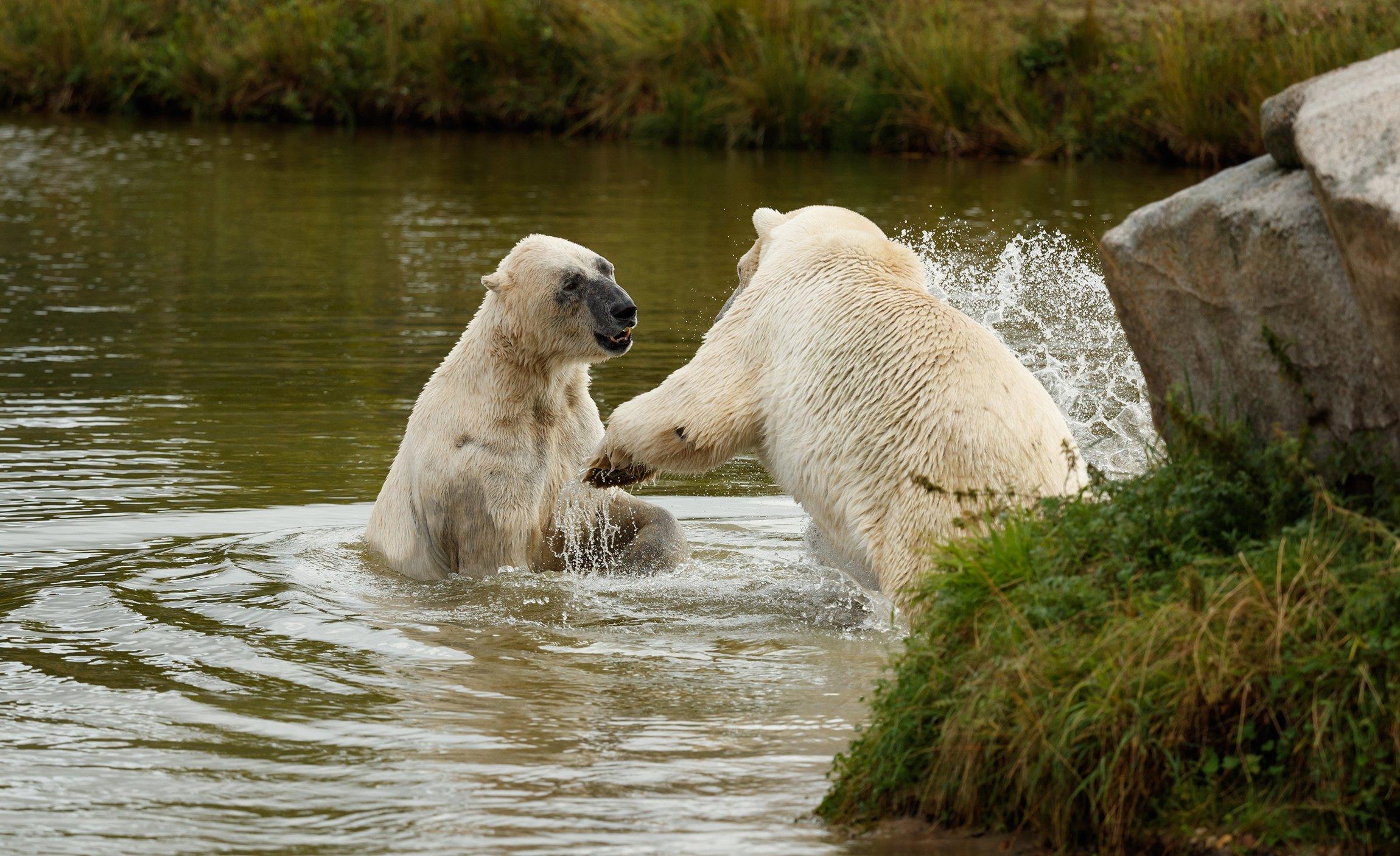 Scandinavian Wildlife Park