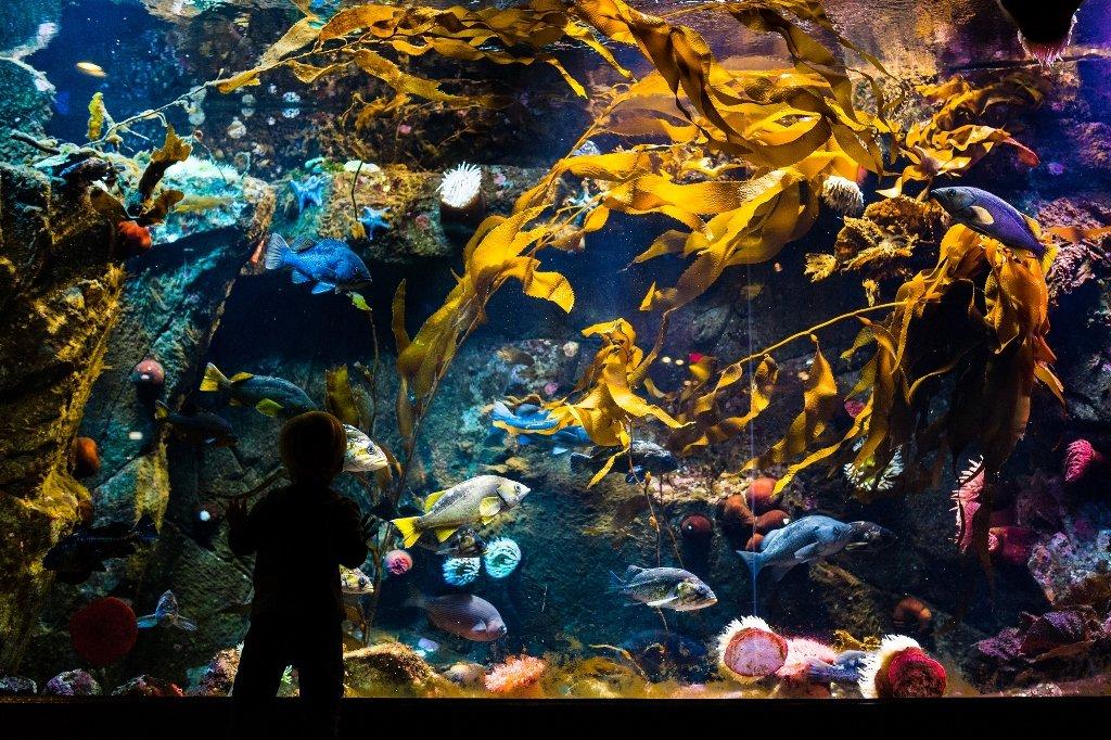 Shaw Centre for the Salish Sea