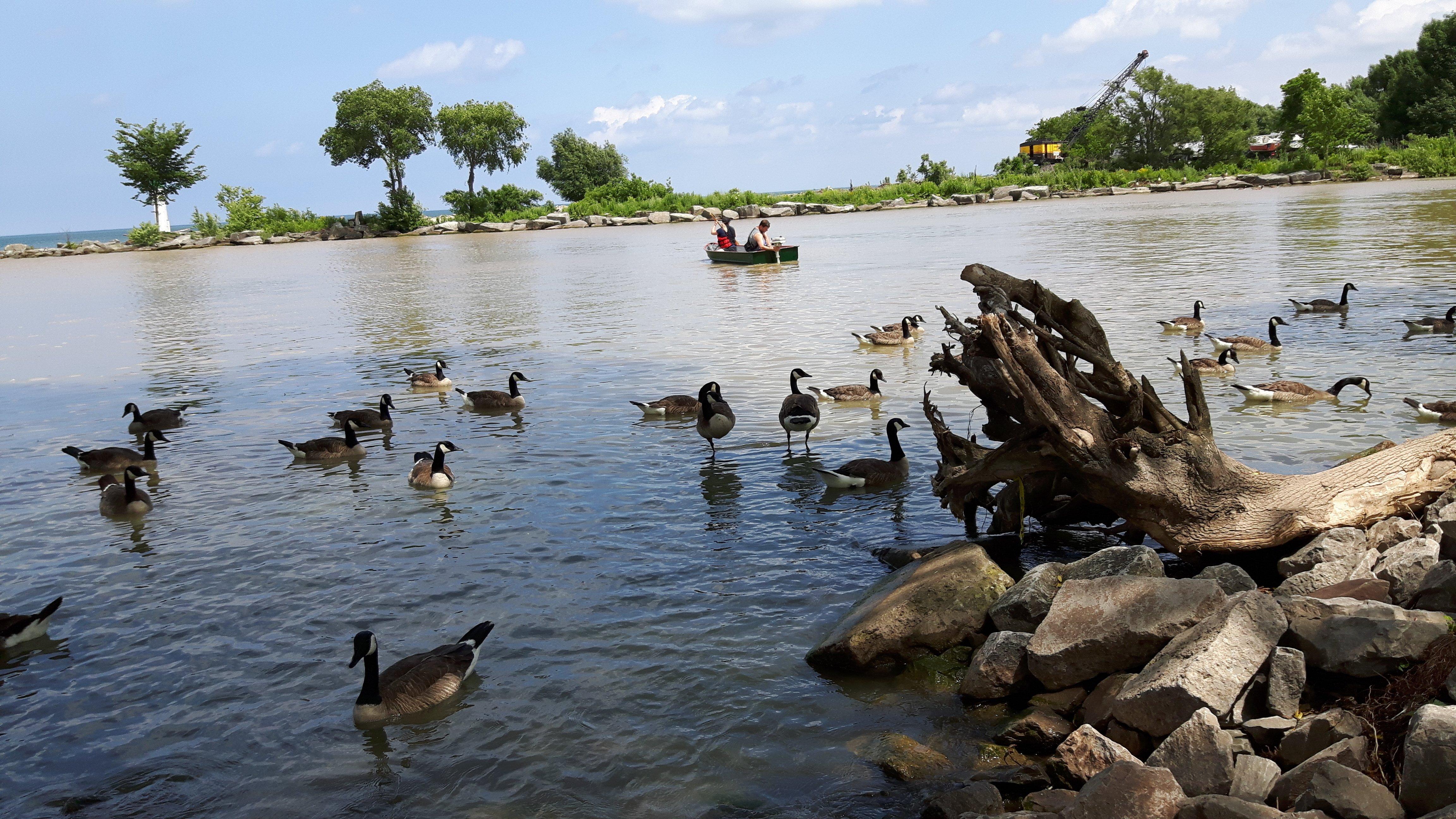 Forty Mile Creek Trails