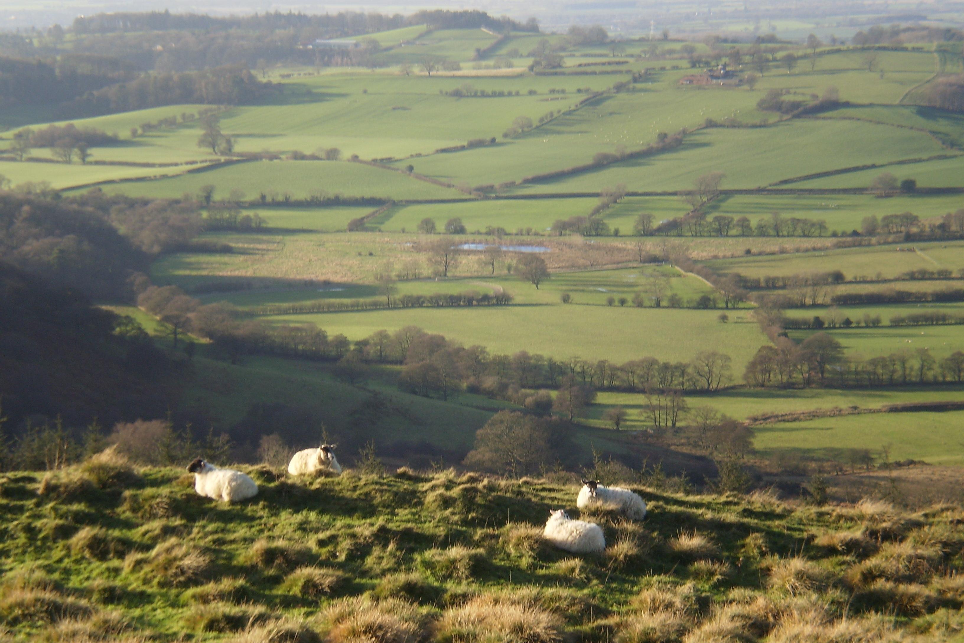 The Yorkshire Tour Guide