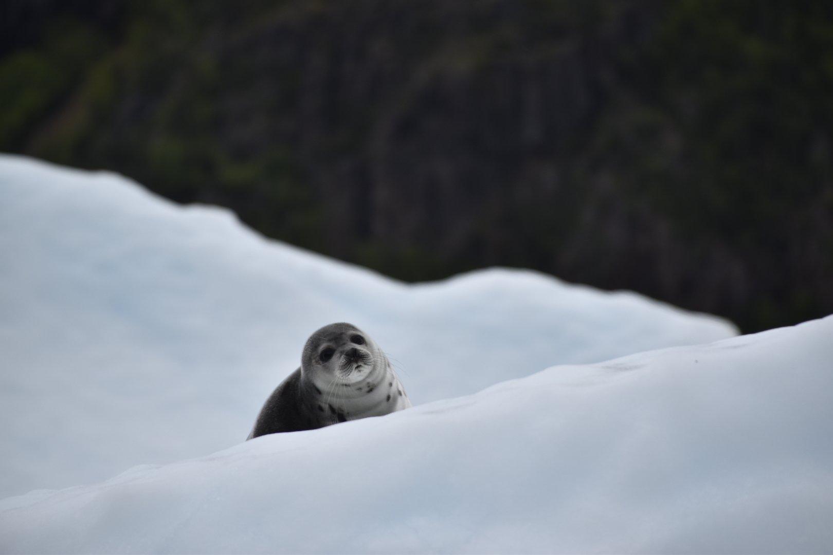 King's Point Boat Tours and Adventures