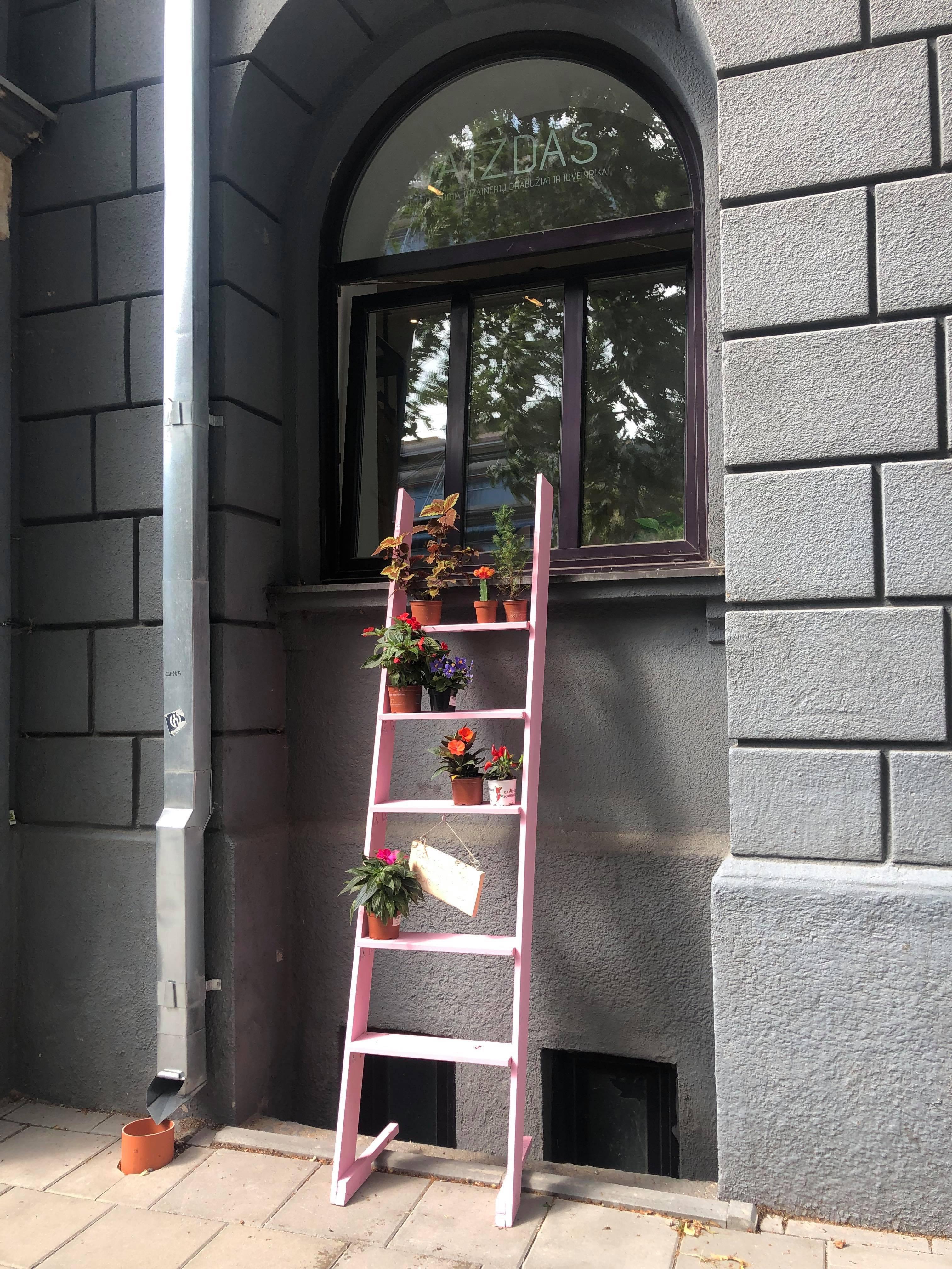 Vaizdas Ivaizdzio Studija