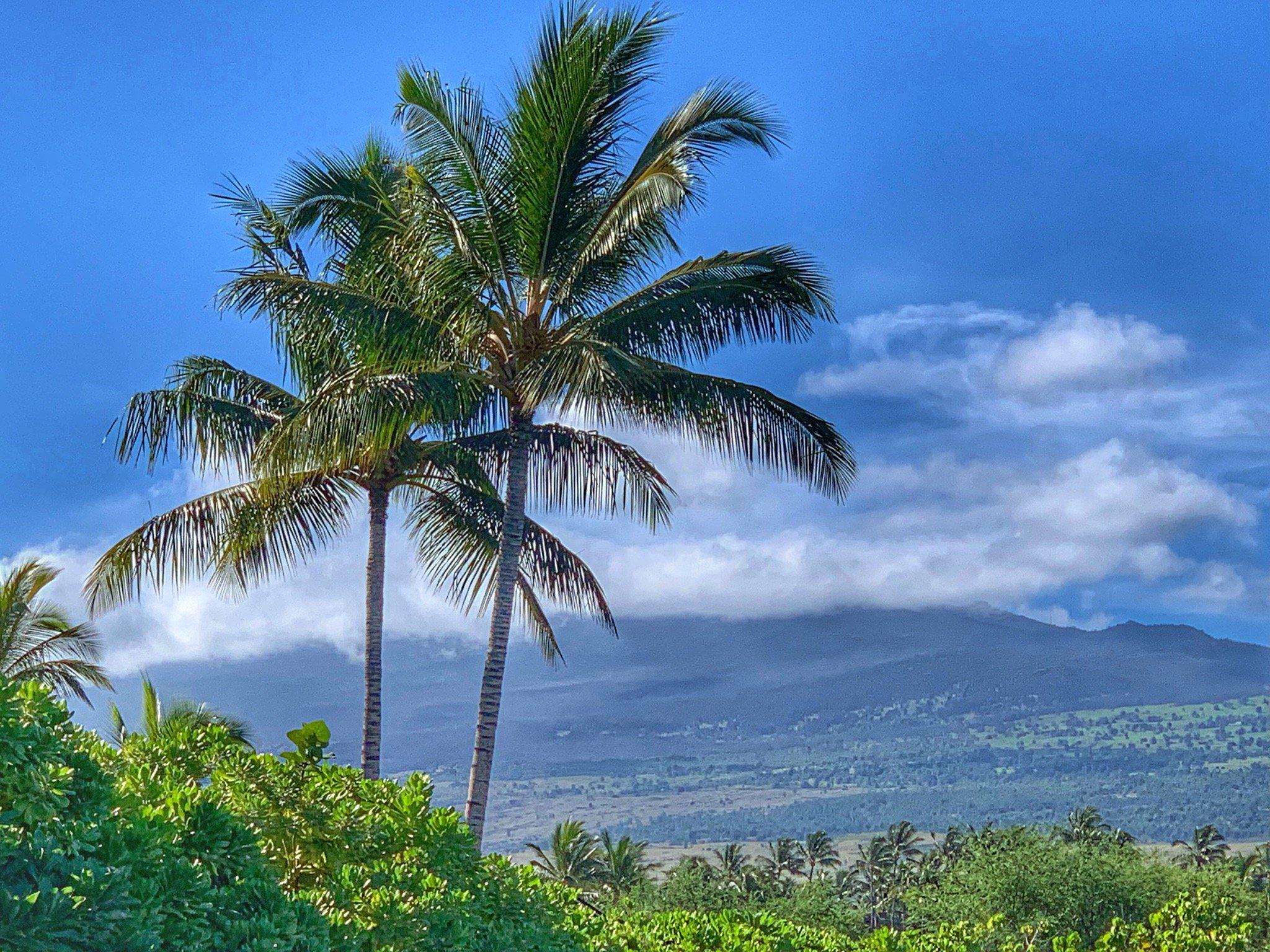 Kikaua Point Park