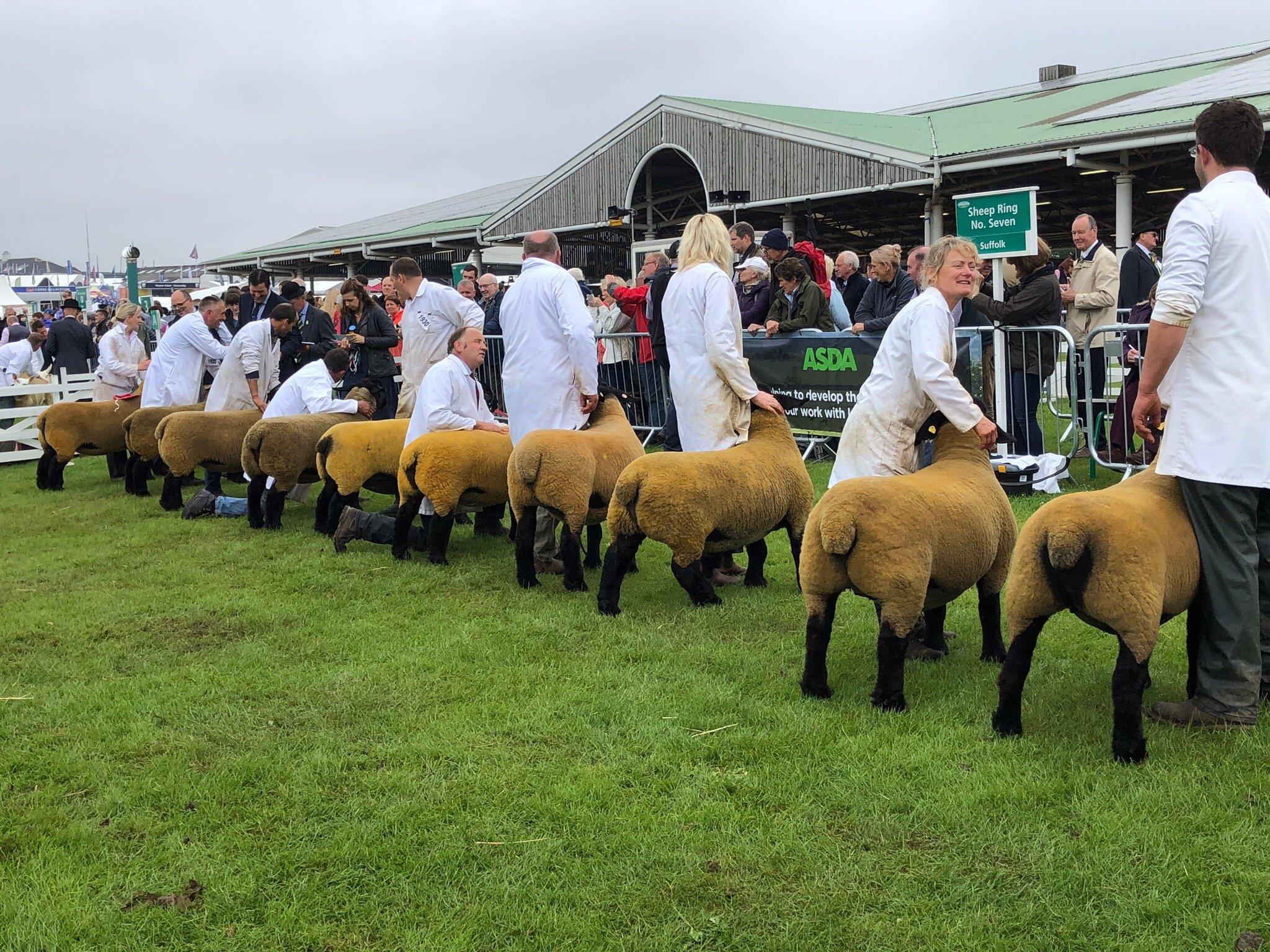 Great Yorkshire Show