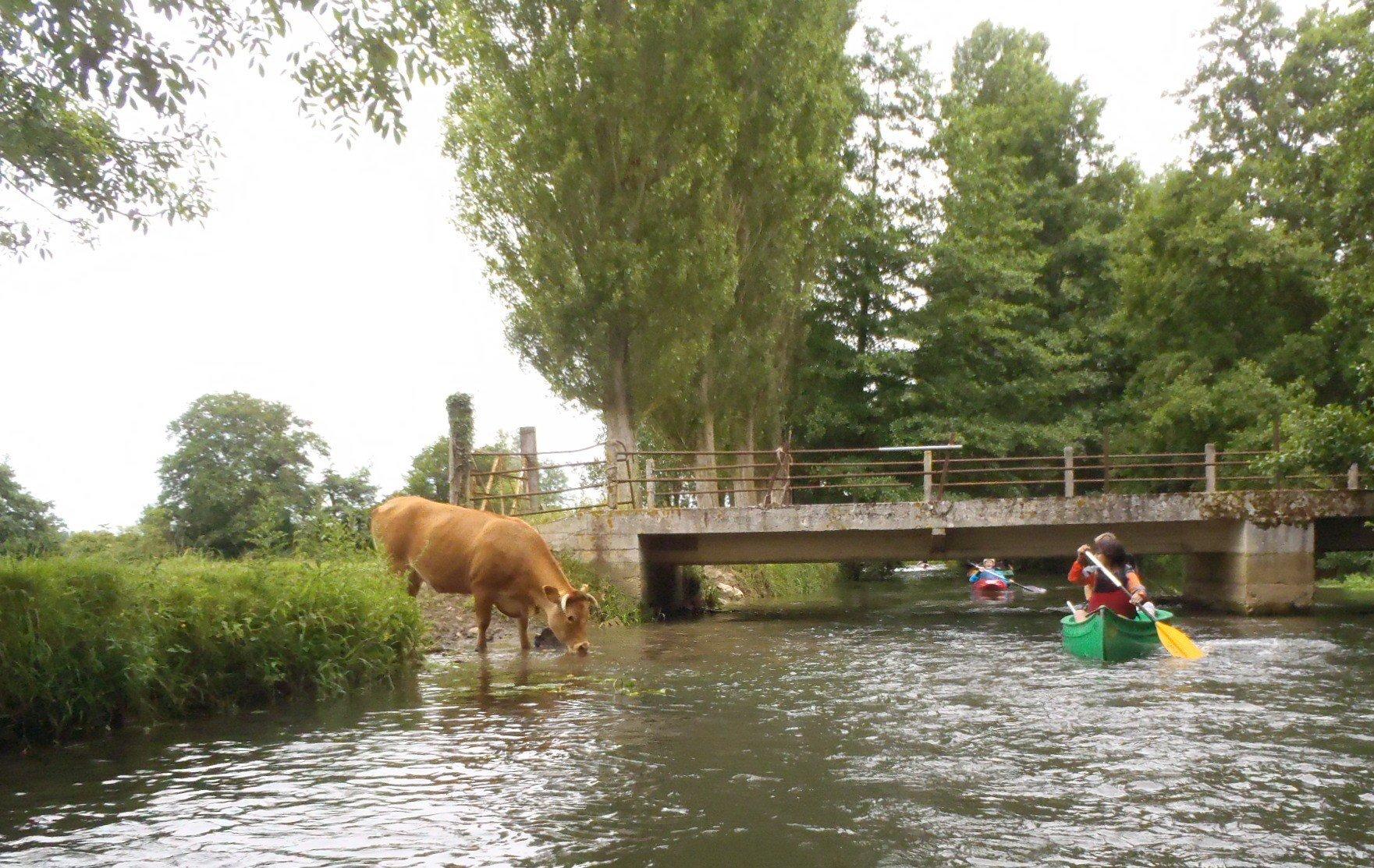 Union Sportive Petruvienne Canoe Kayak