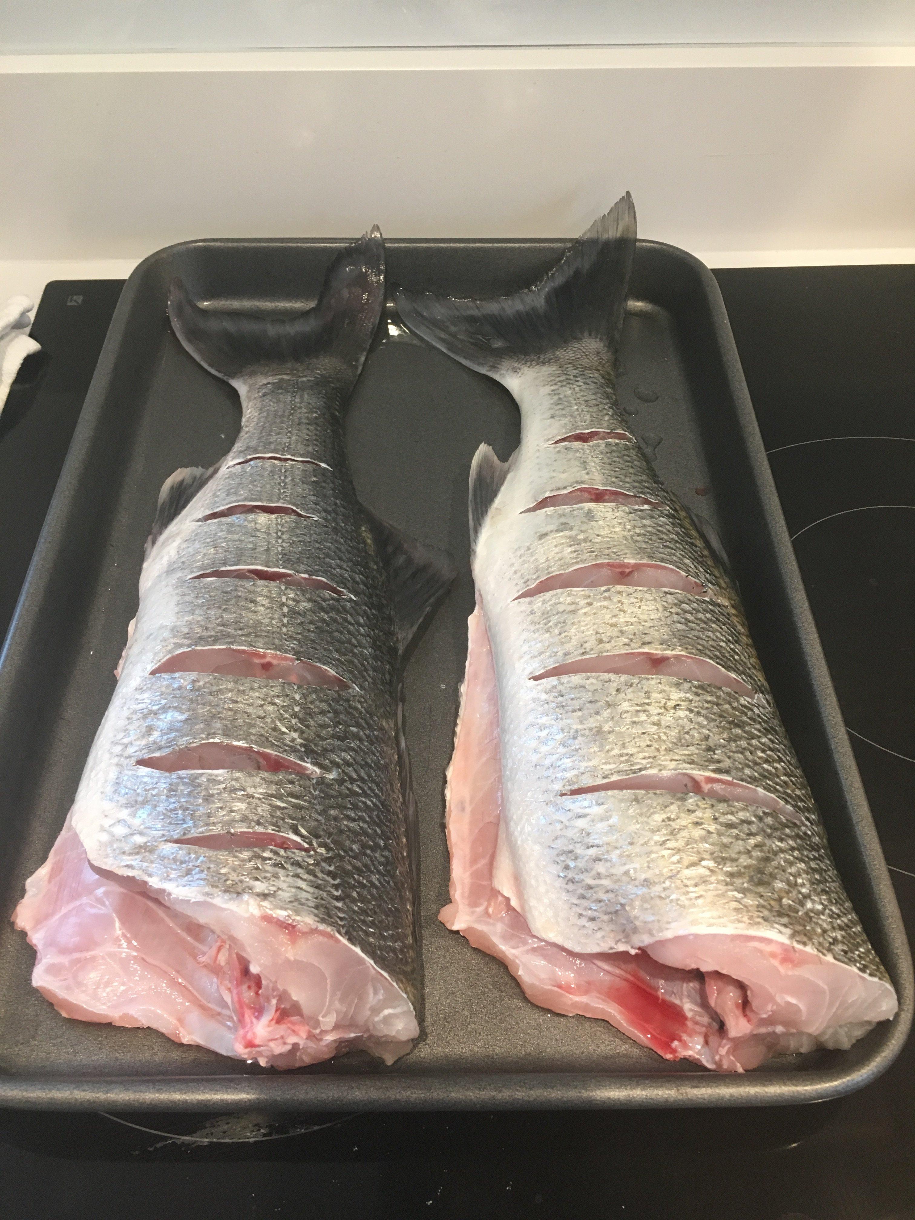 Padstow Angling Centre