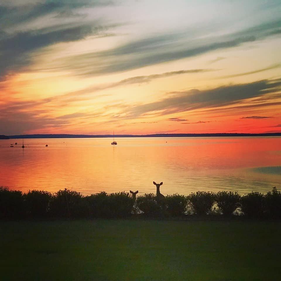 Bar Harbor Designer Showhouse at La Rochelle