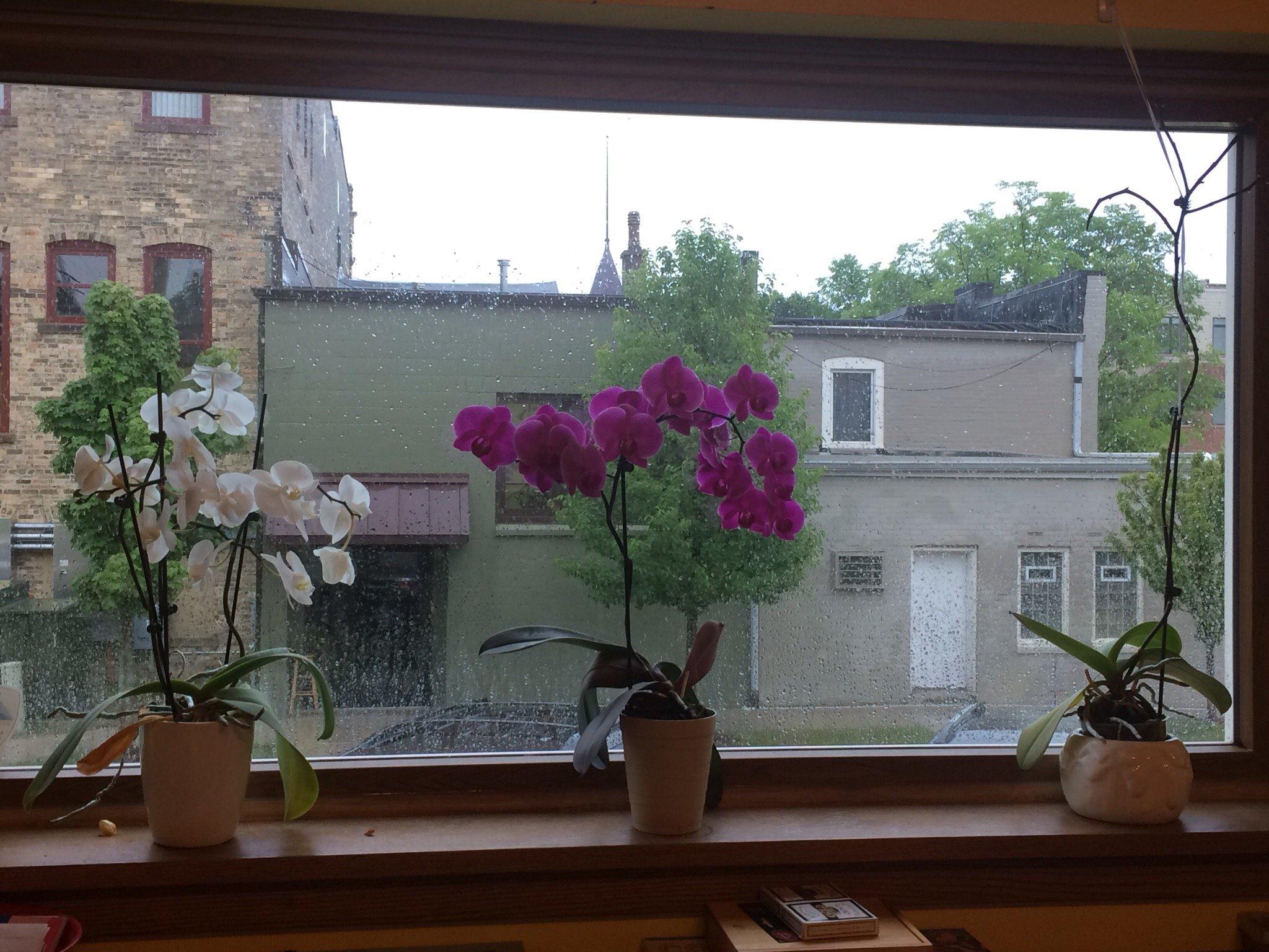 Photo by 708kristinah