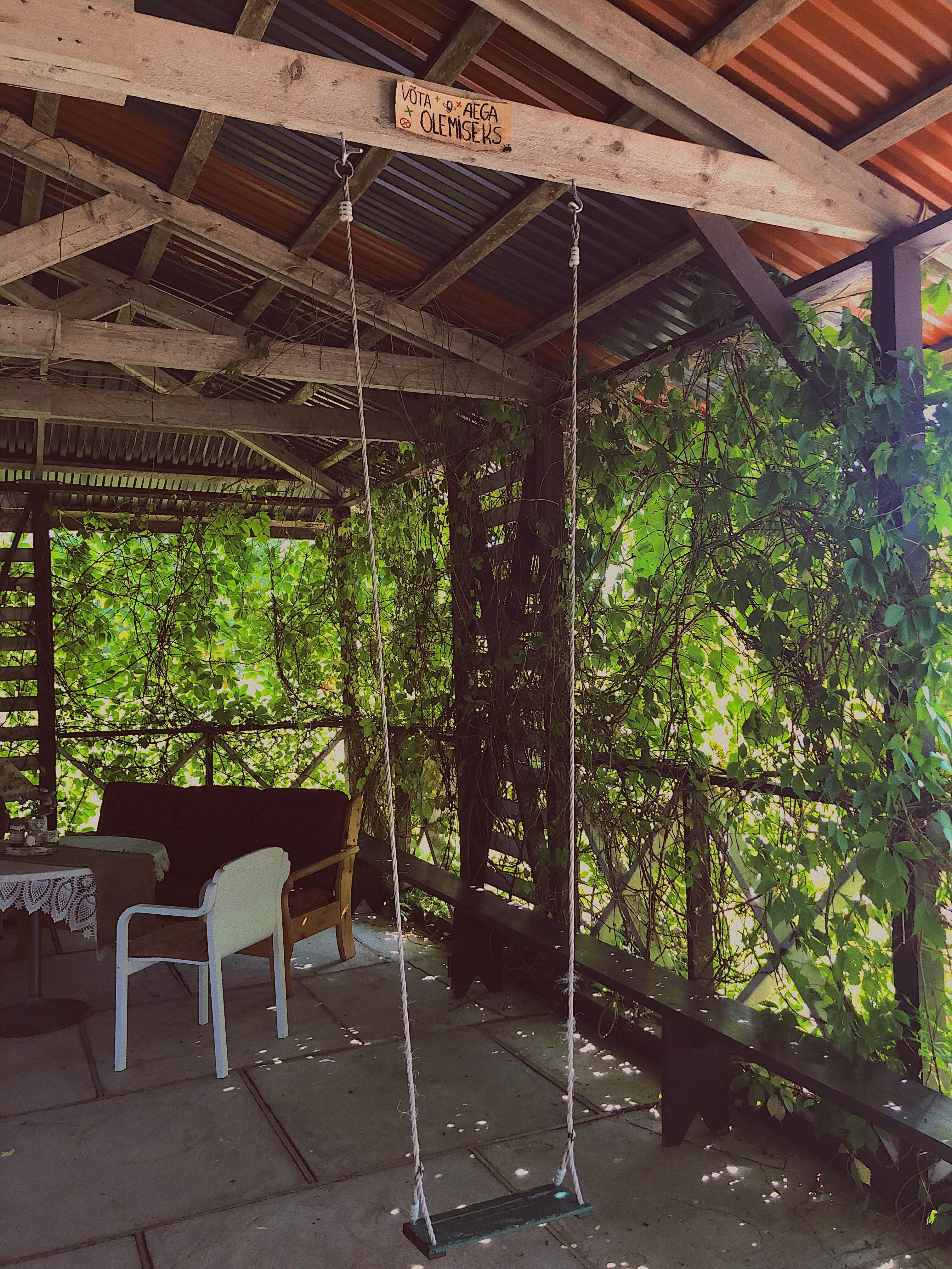 Metsaroomu Toidutare