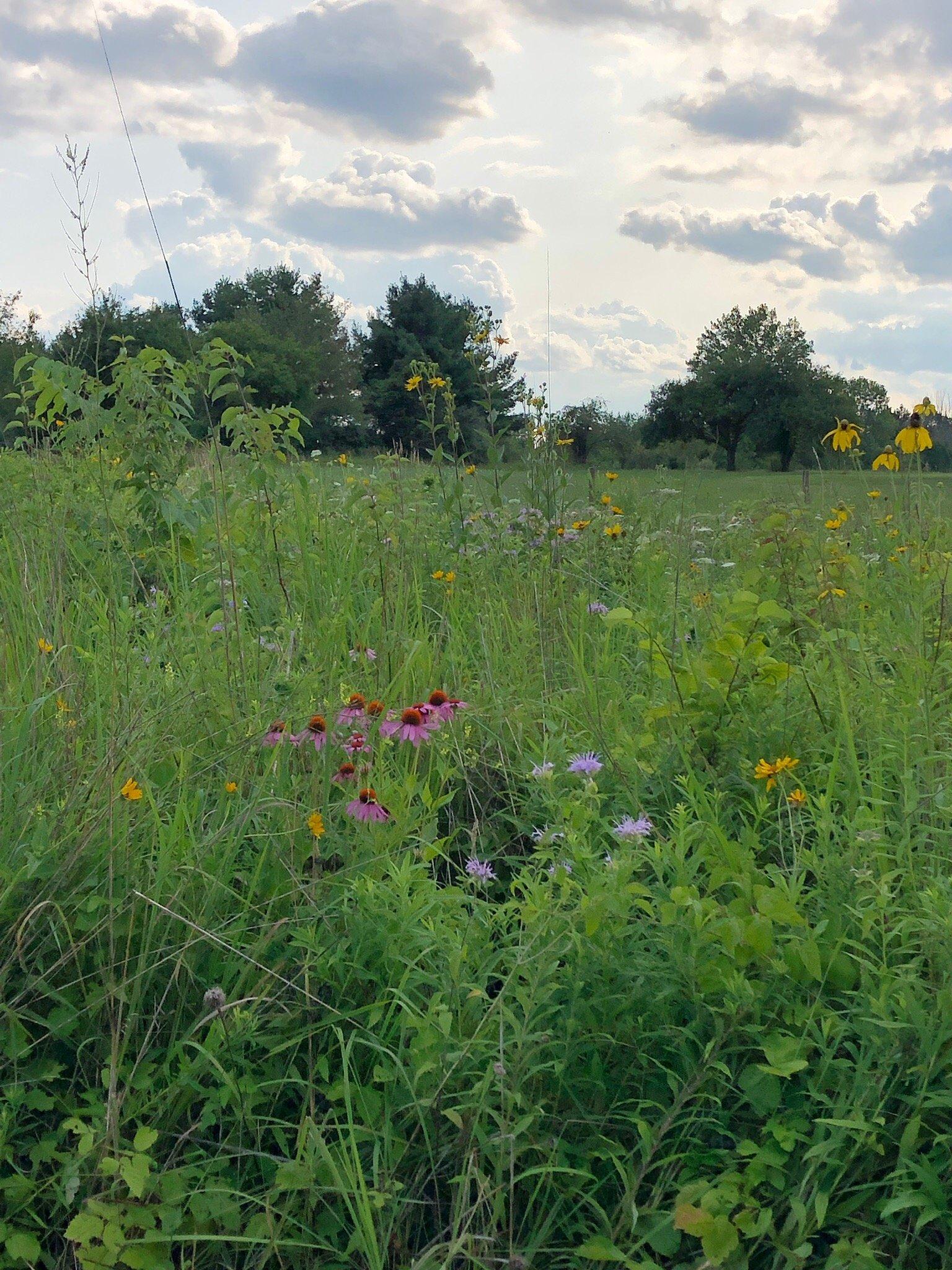 Photo by debwilltravel