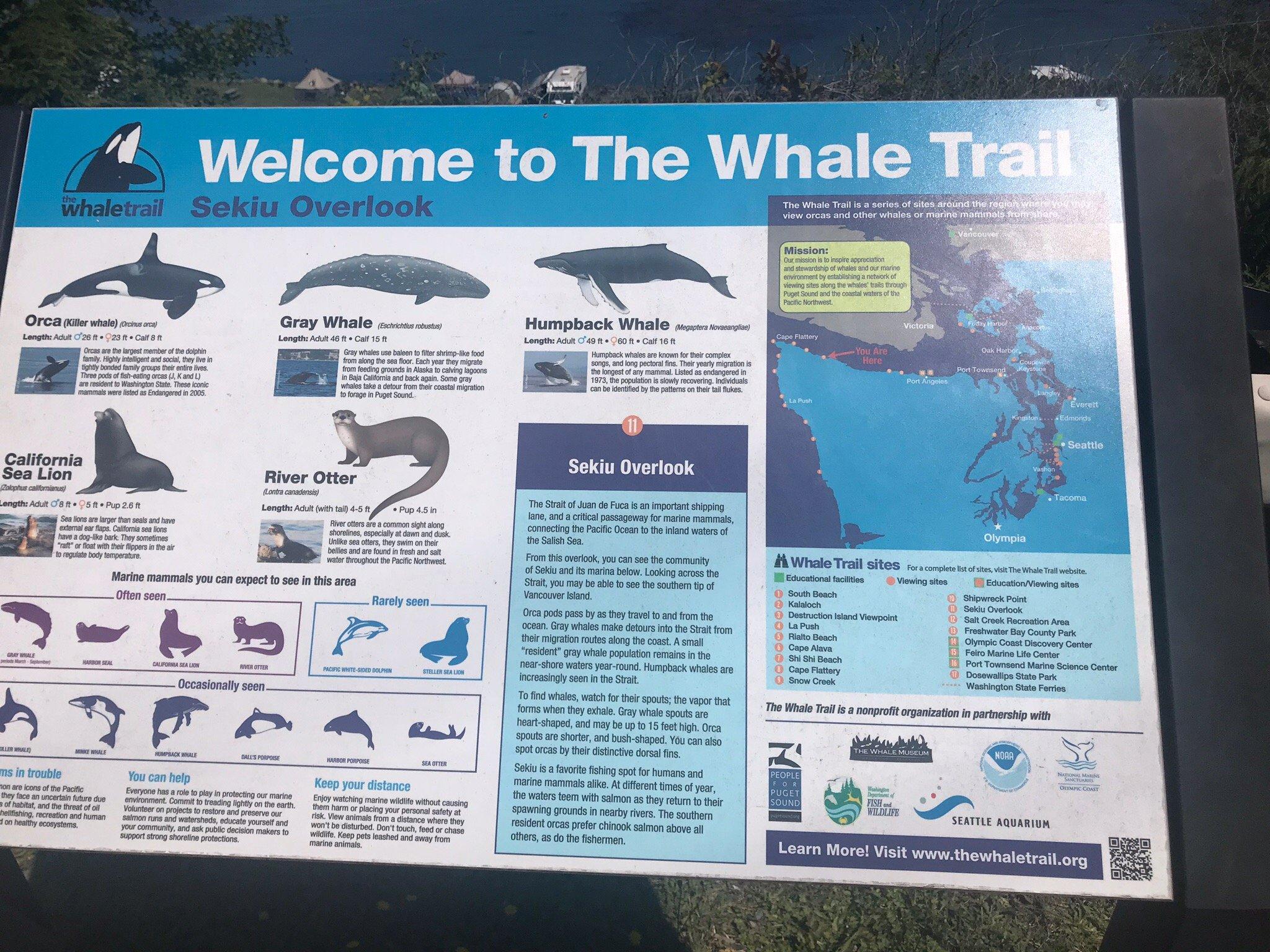 Photo by DoloresJacoby