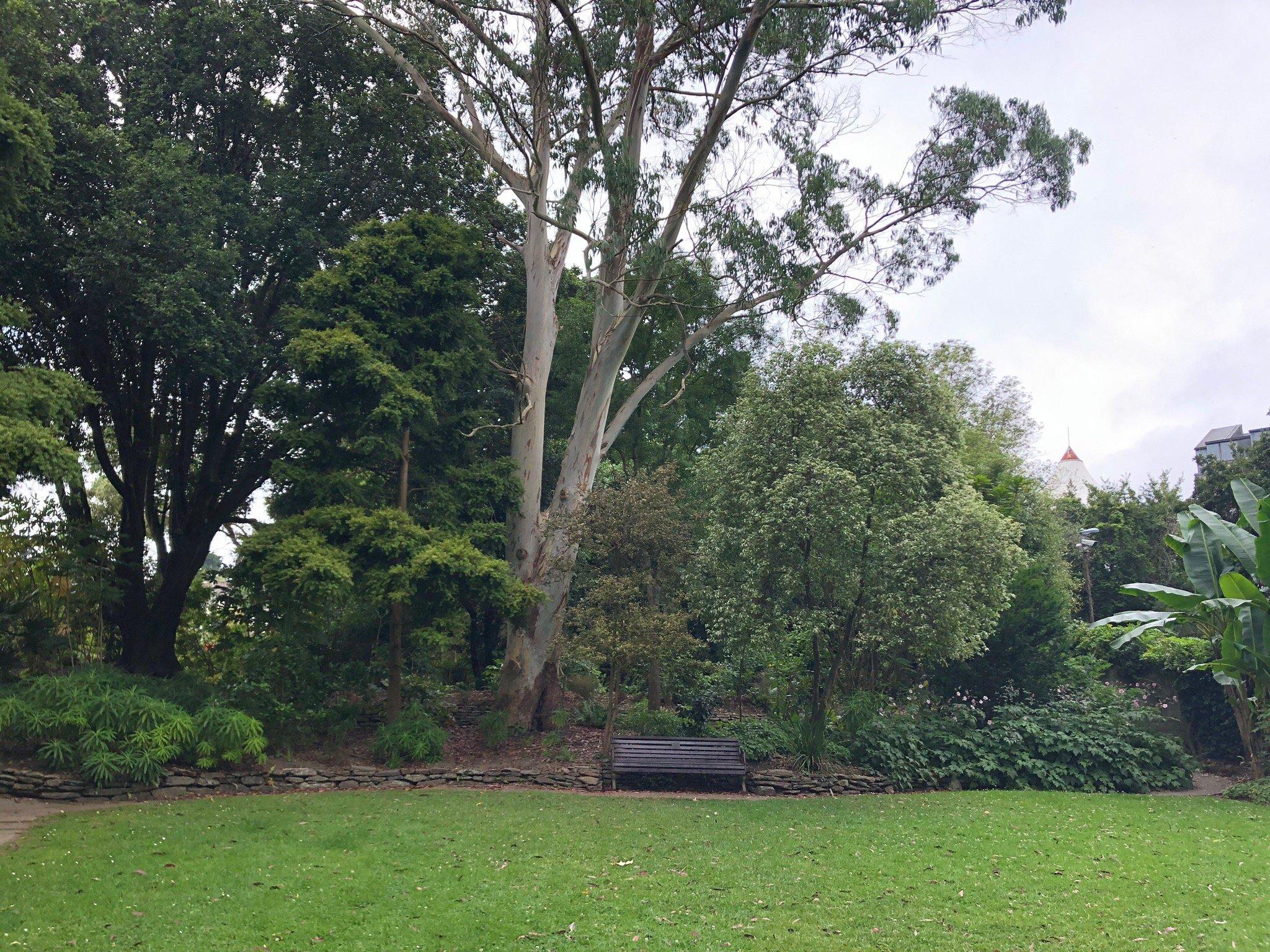 Falmouth Campus Library