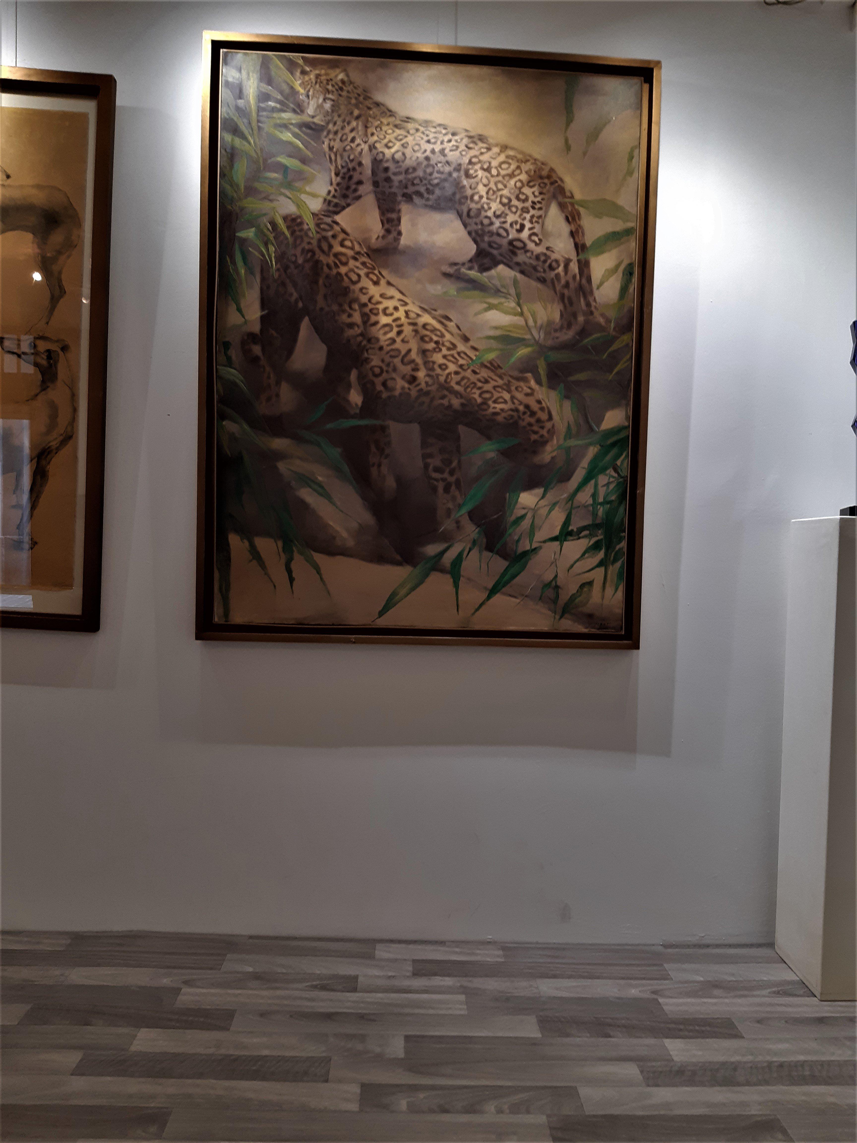 Galerie les naufragés du temps