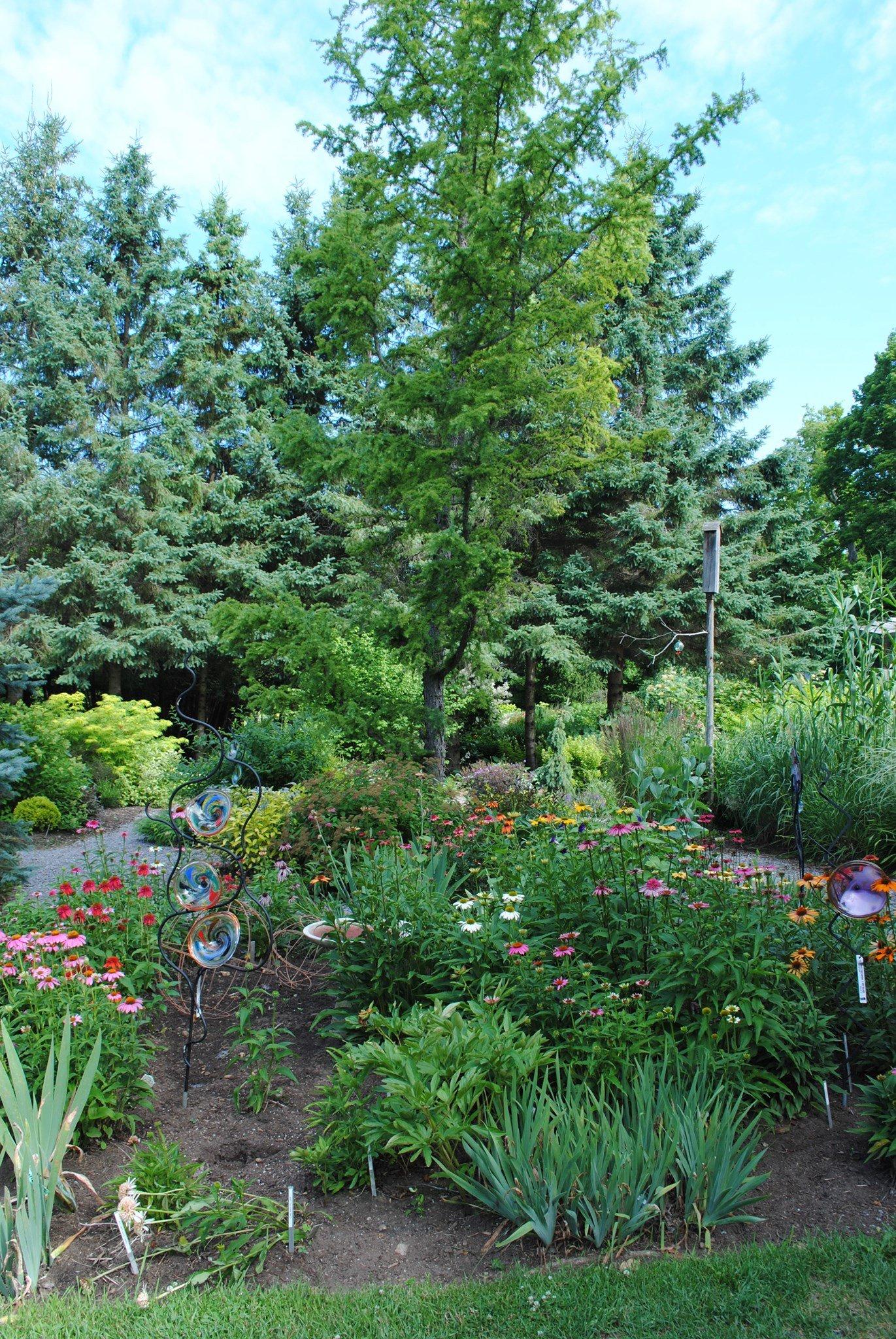 White House Perennials