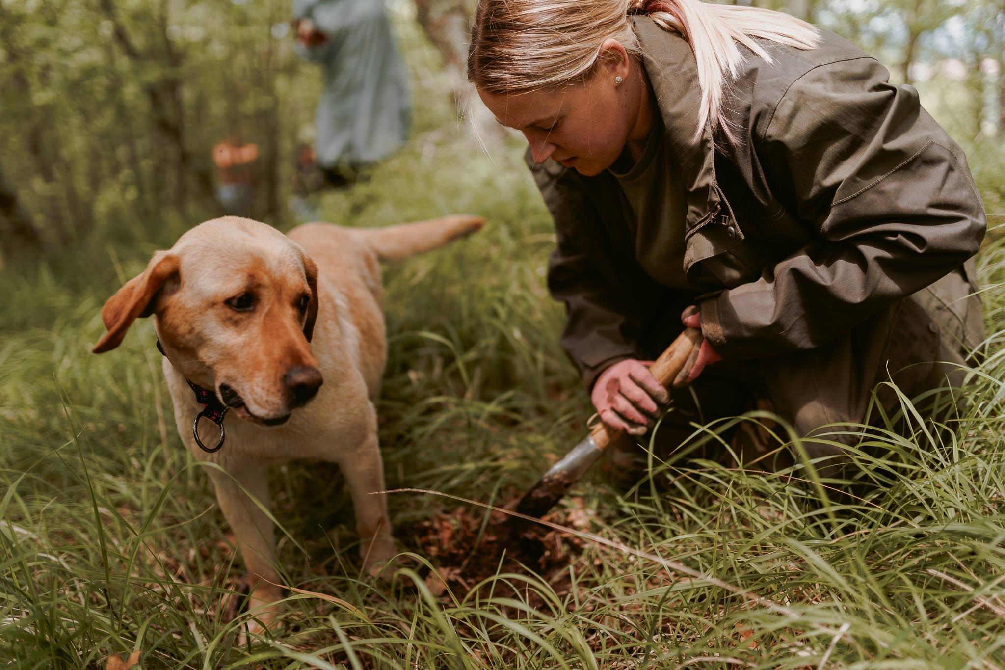 Truffle Hunting Slovenia