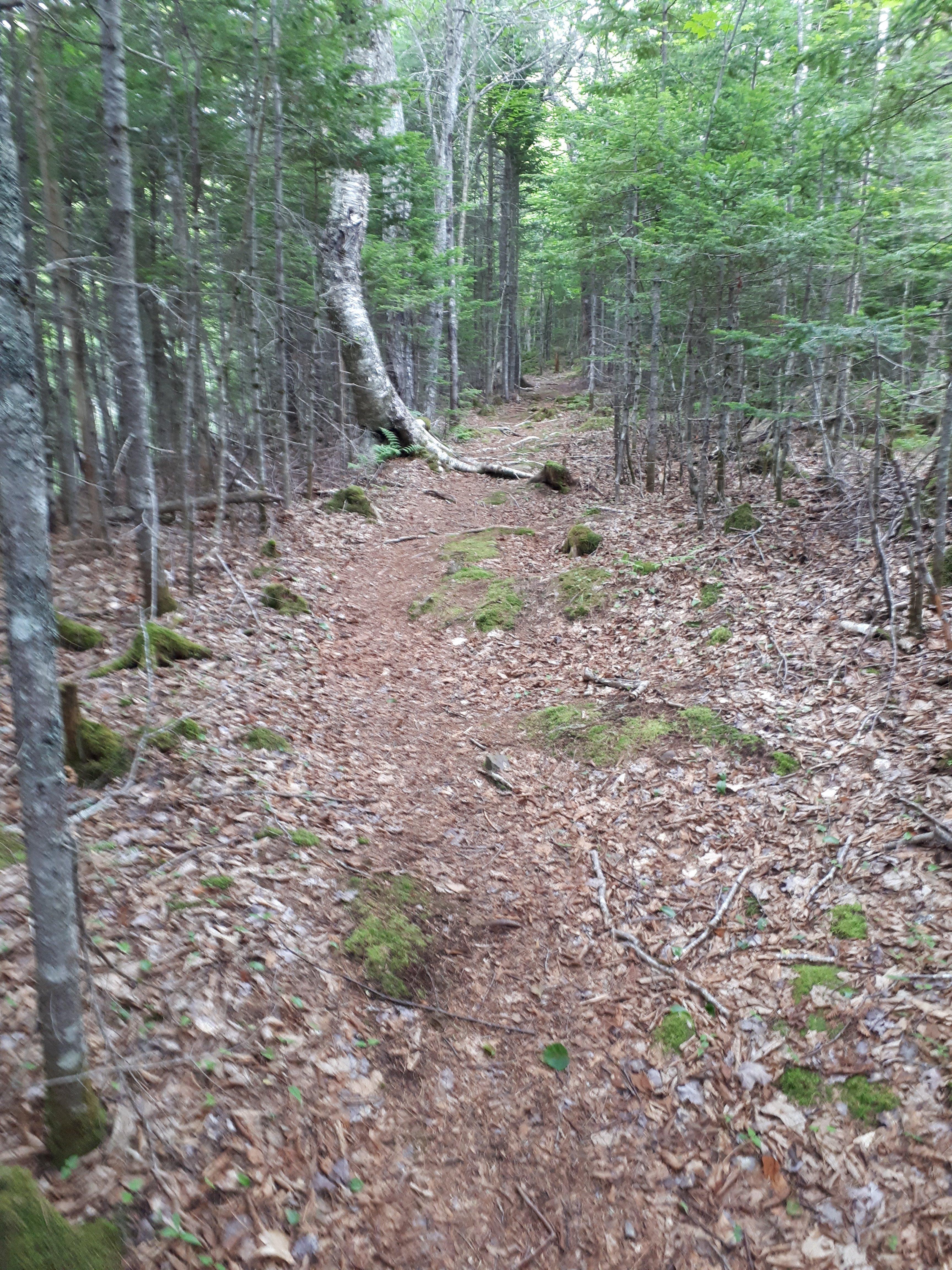 Strait Area Trails