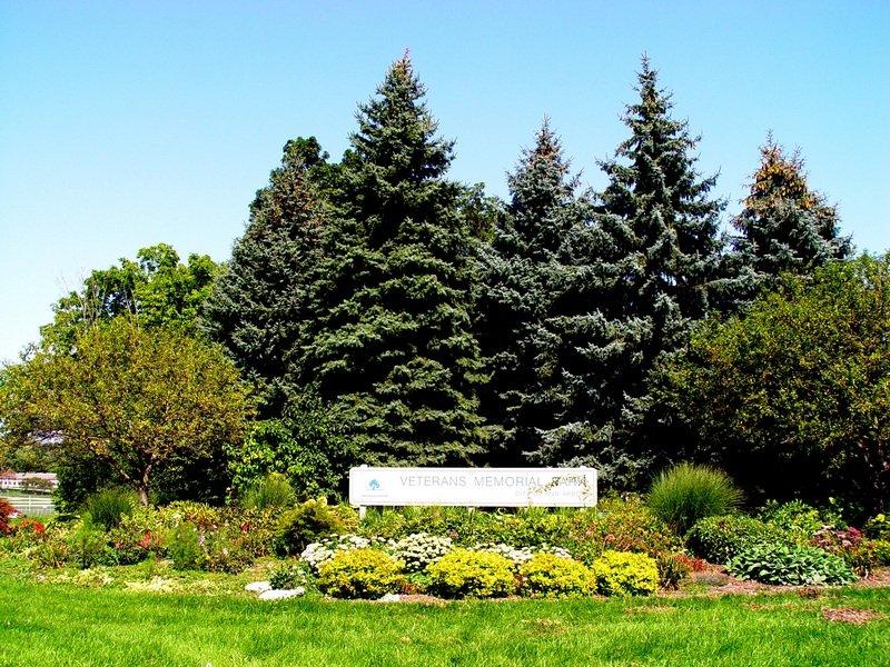 Veterans Memorial Park Pool & Ice Arena