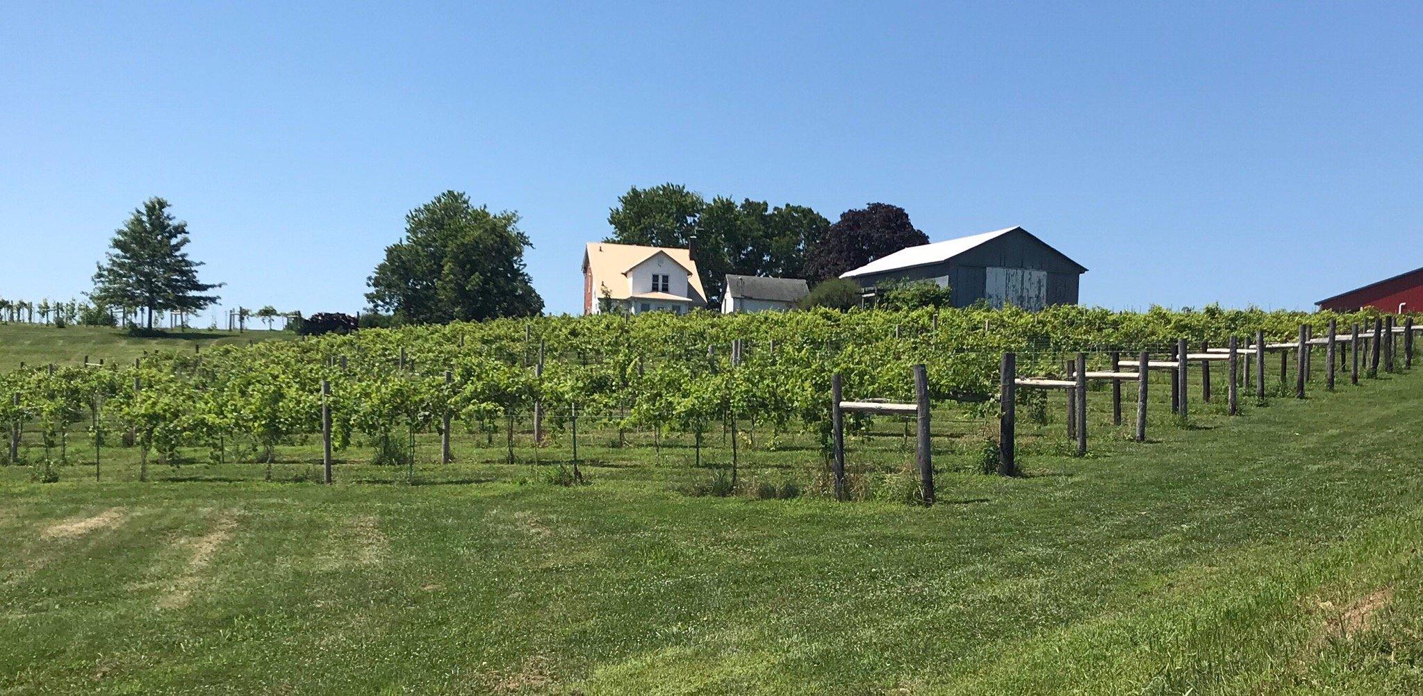 Photo by bishopwines