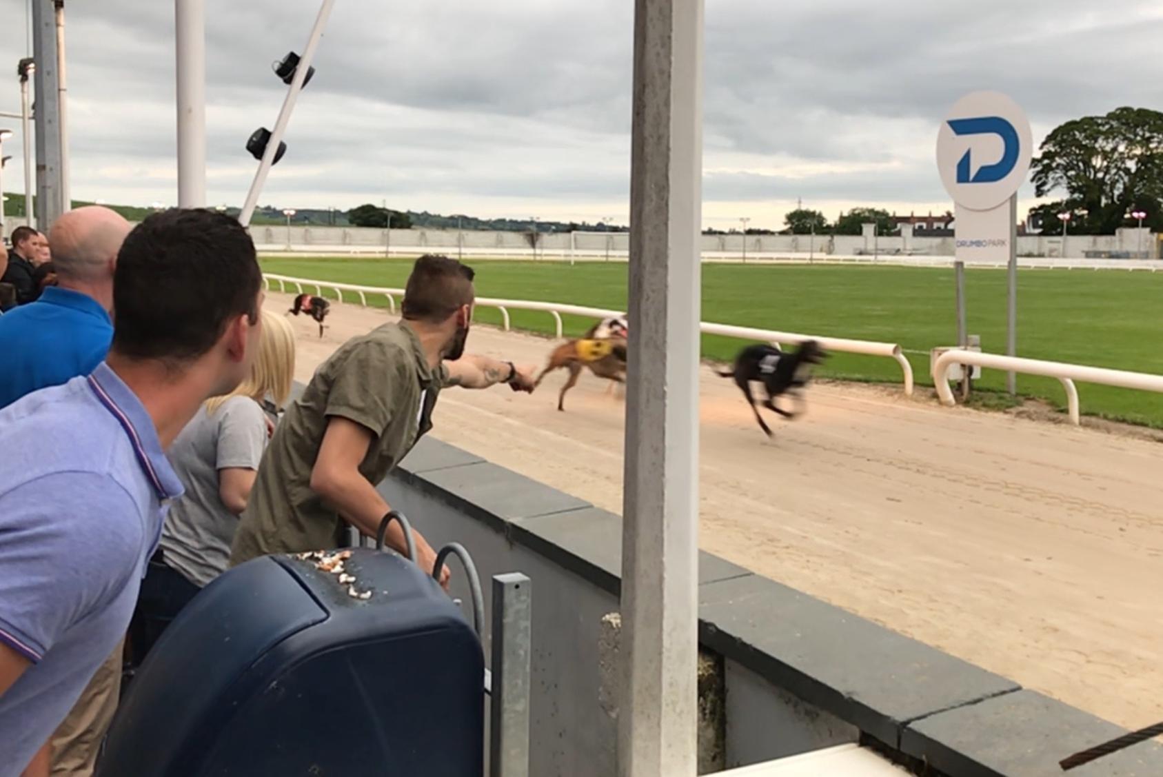 Drumbo Park Dog Racetrack