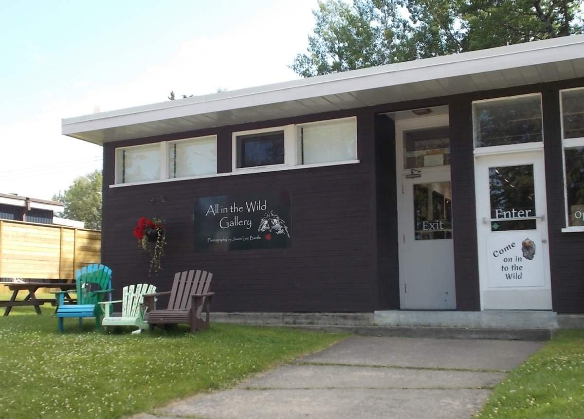 All in the Wild Gallery