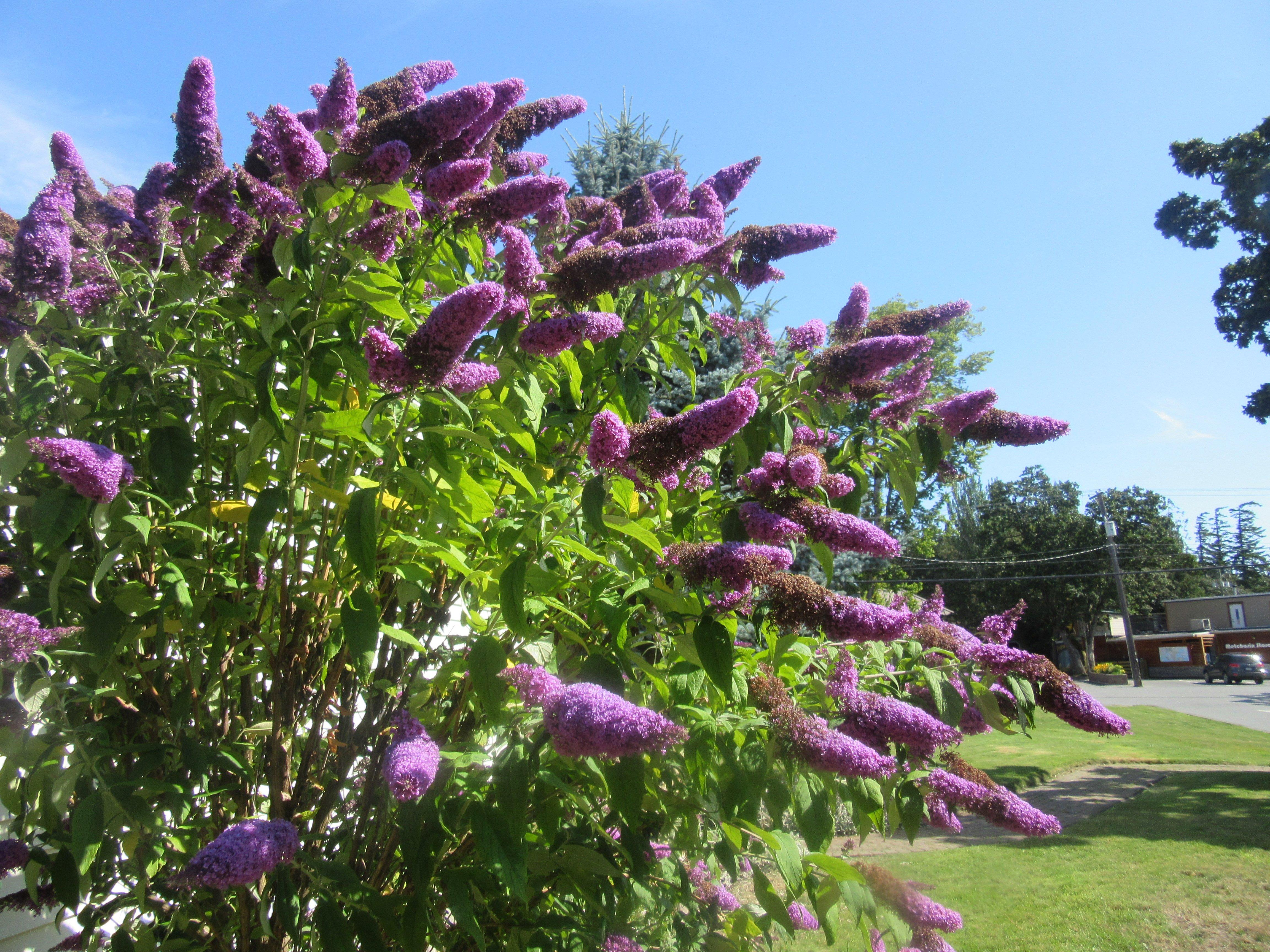 Photo by Y9506WFronalds