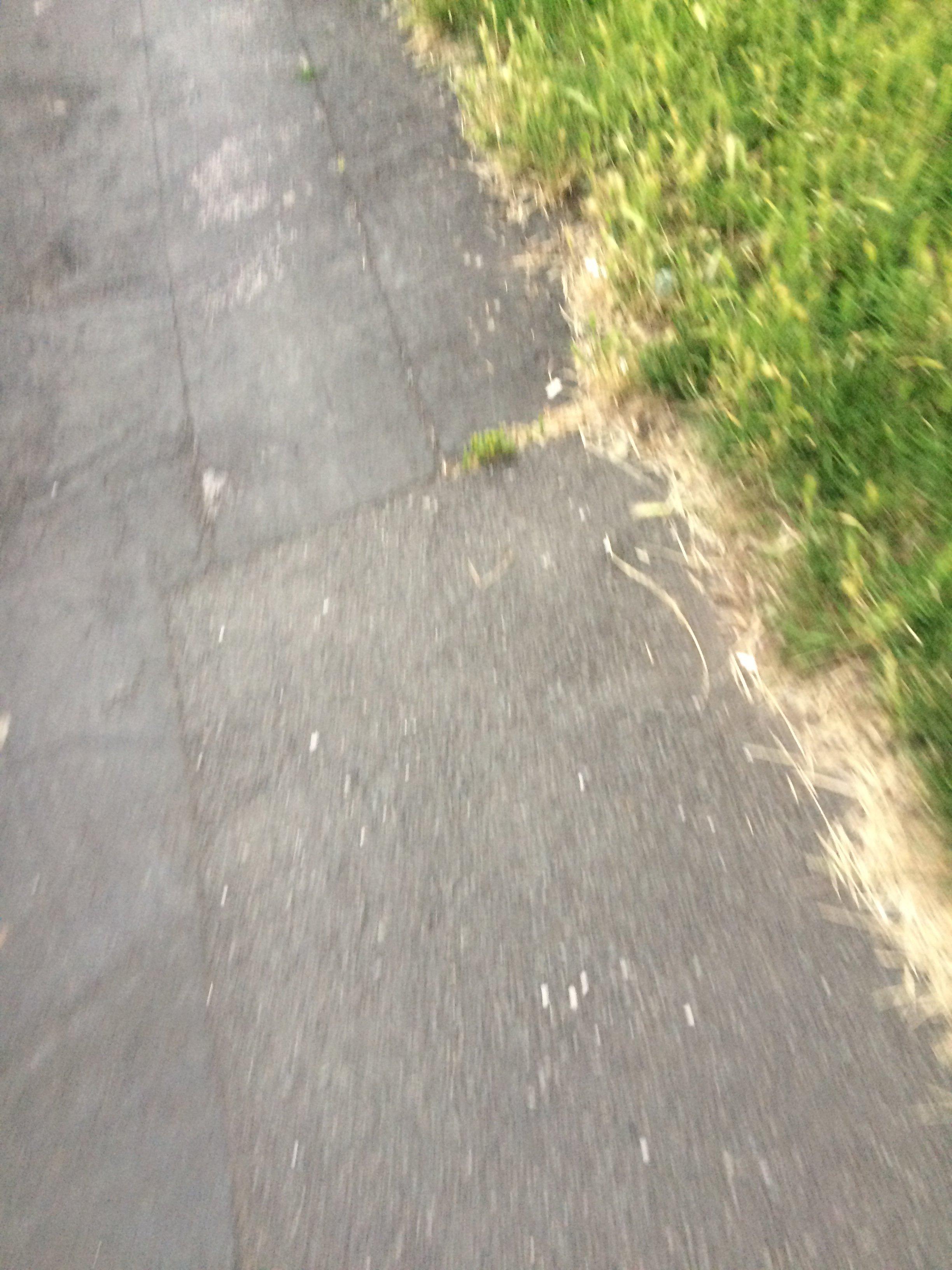 Photo by Curiosity675389