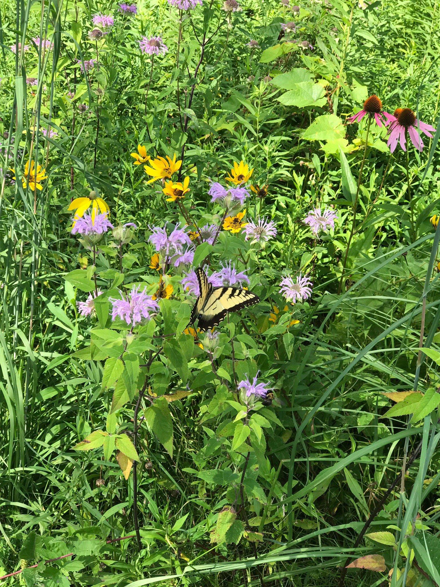 Photo by jennifercG2408PK