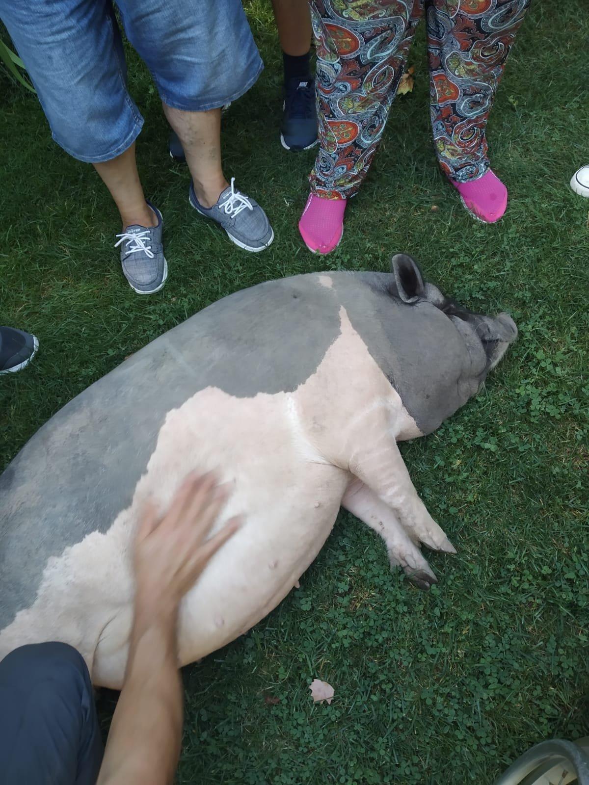 Granja Escuela Xuberoa