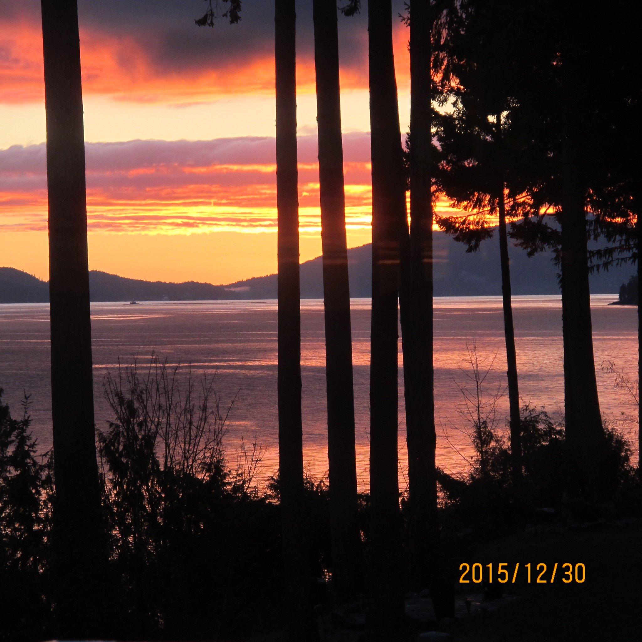 Phoenix Food Delivery