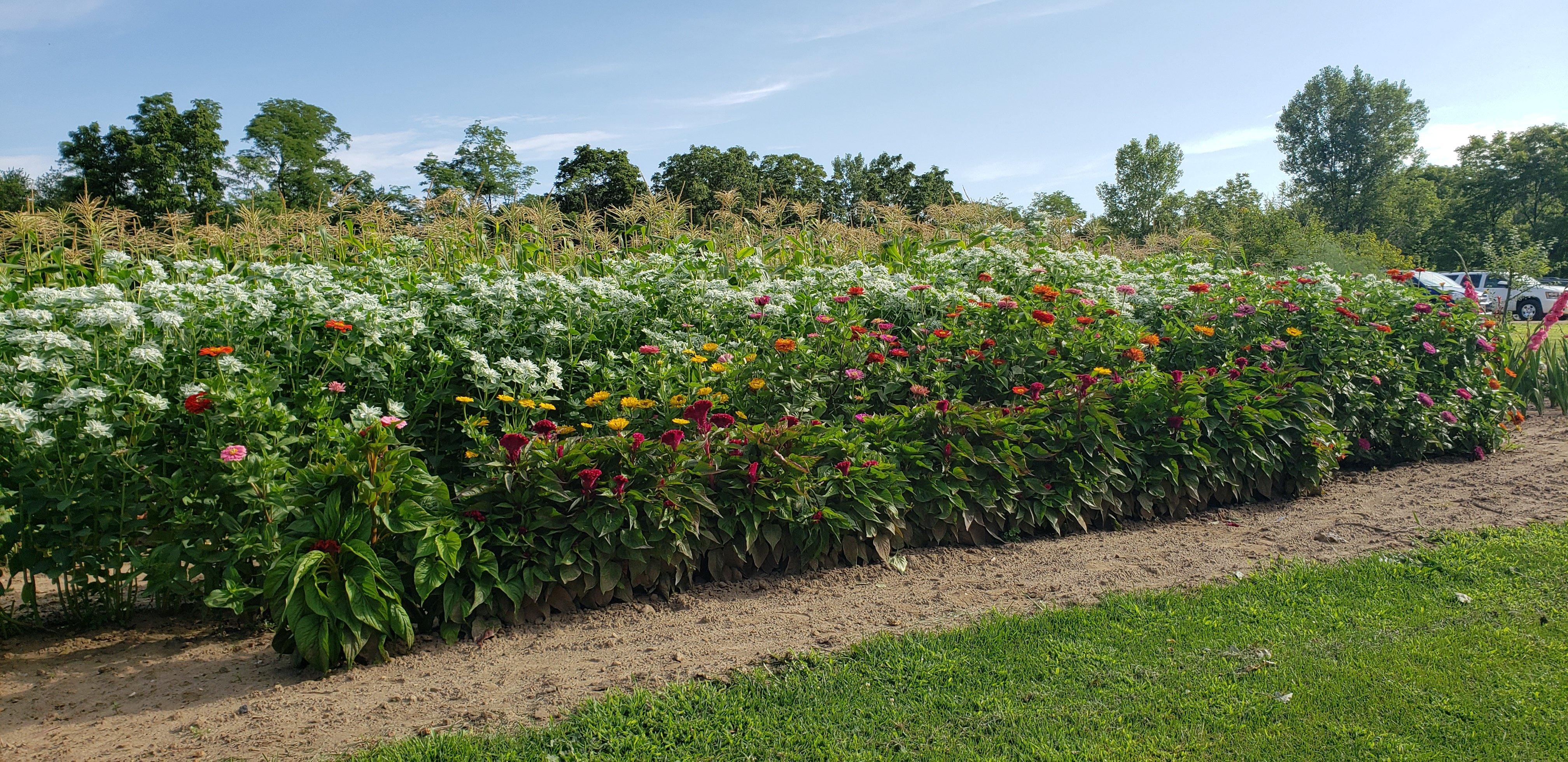 Pleasant View Bakery