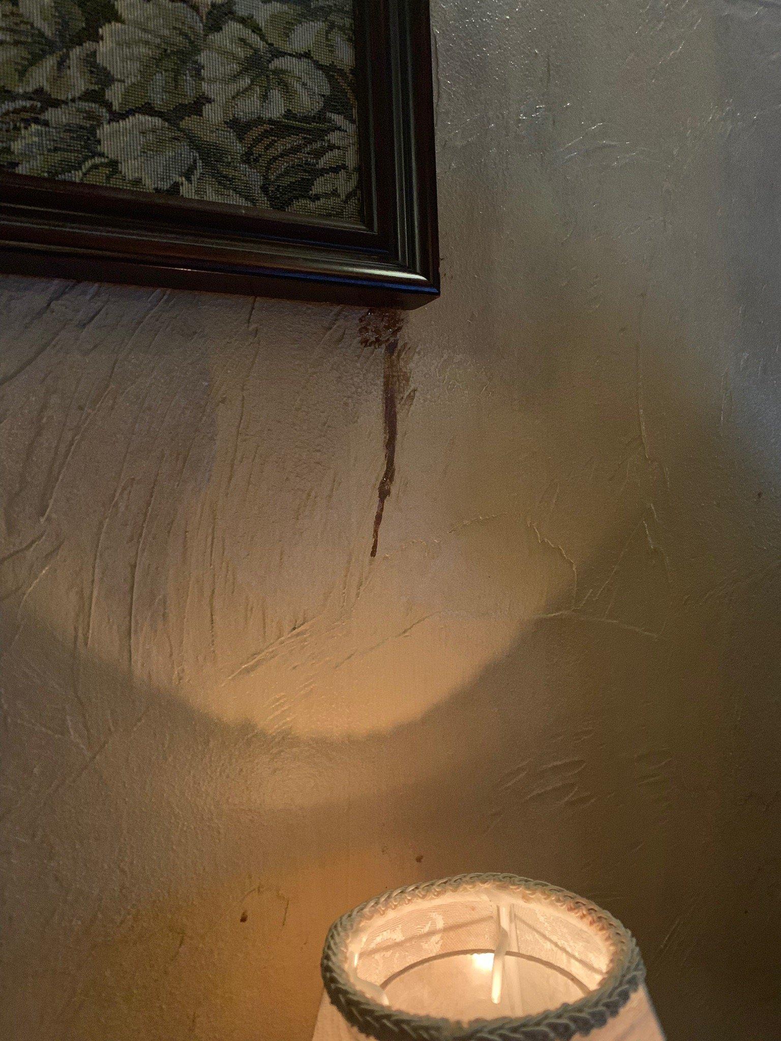 Harry's La Casa MIA