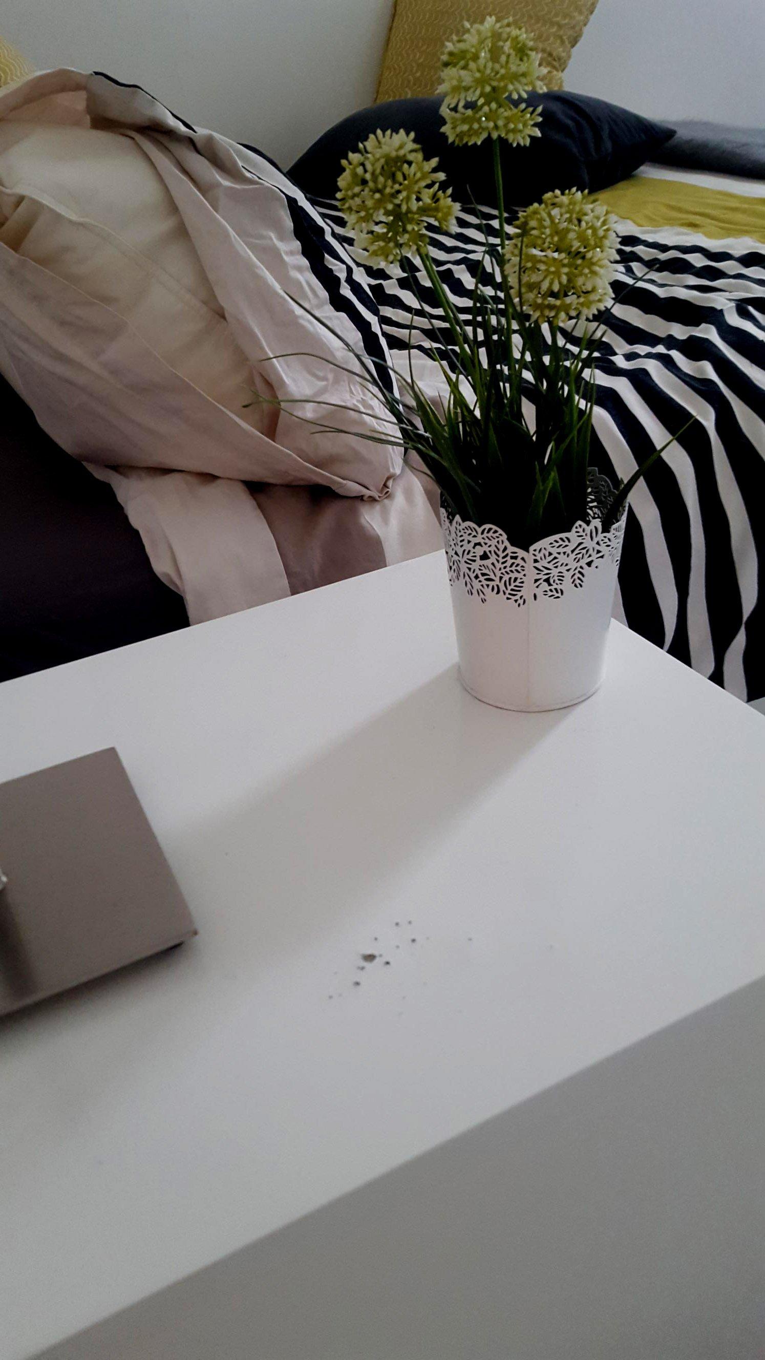 Belsize Park Boutique Accommodation