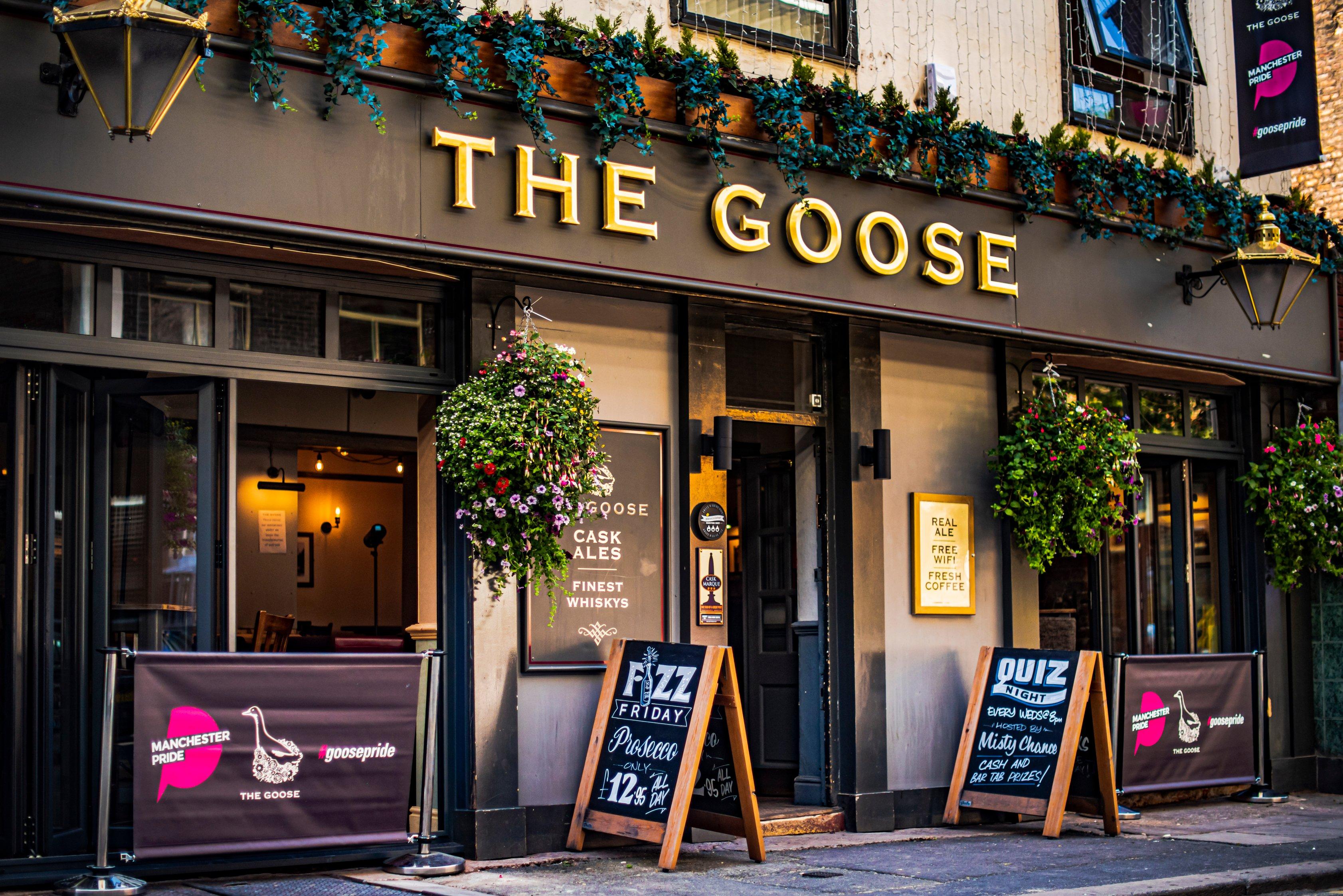 The Goose