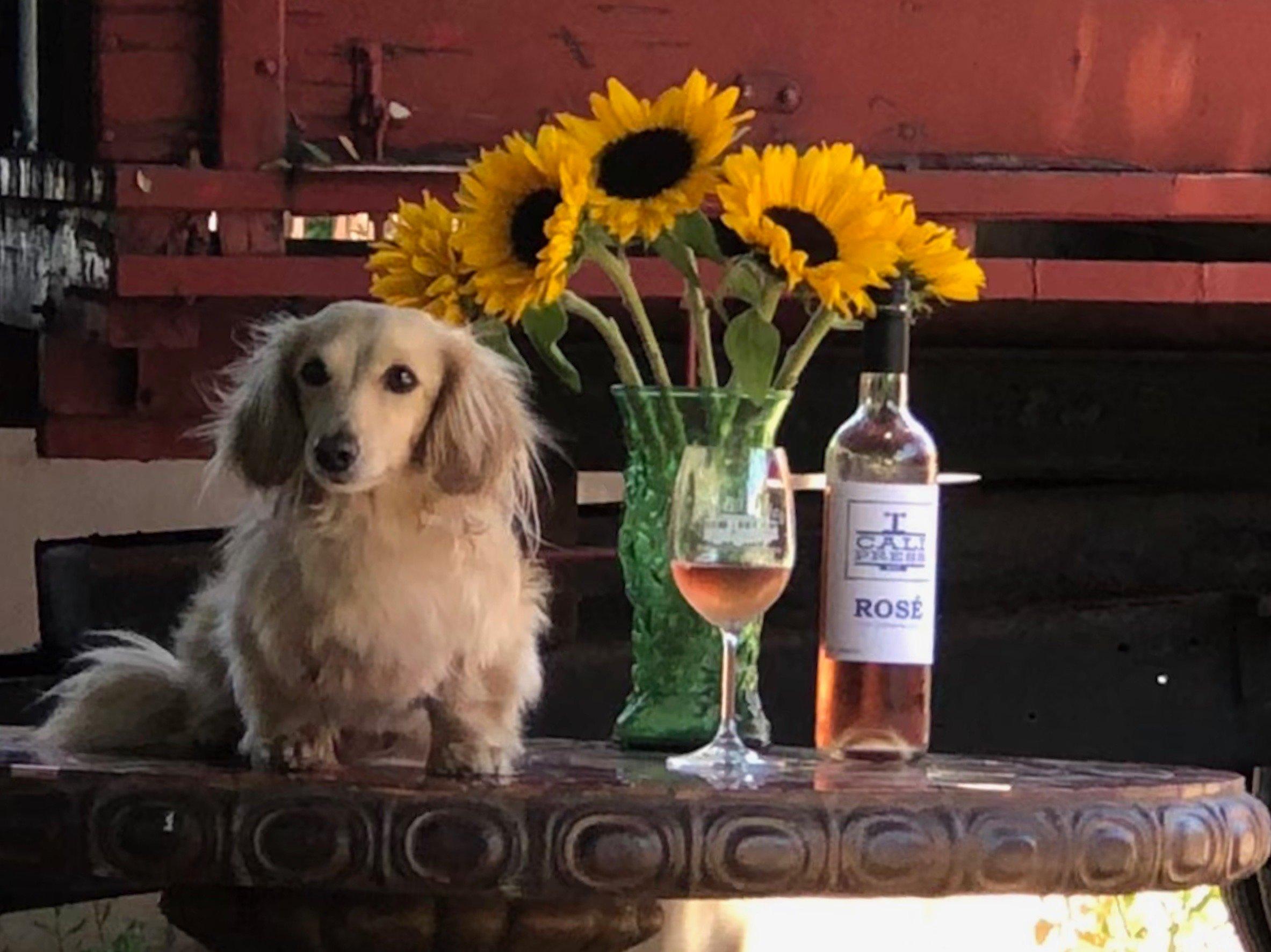 Carmel Valley Wine Tours