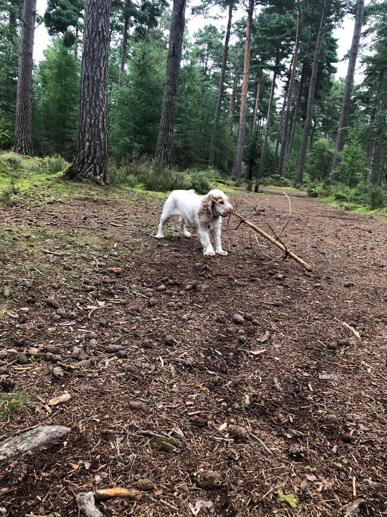Nairn Camping and Caravanning Club Site