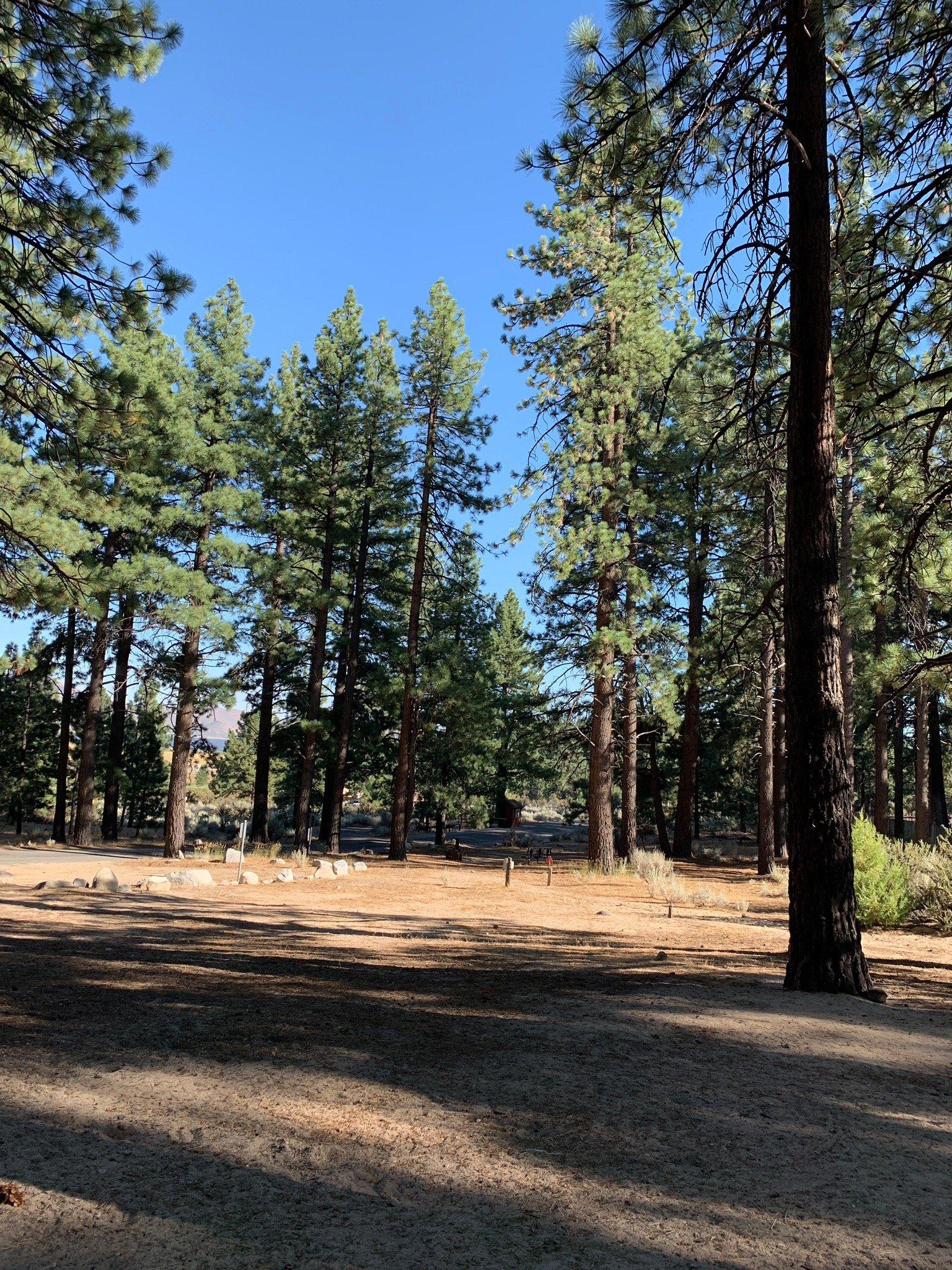 Photo by roseomarch76