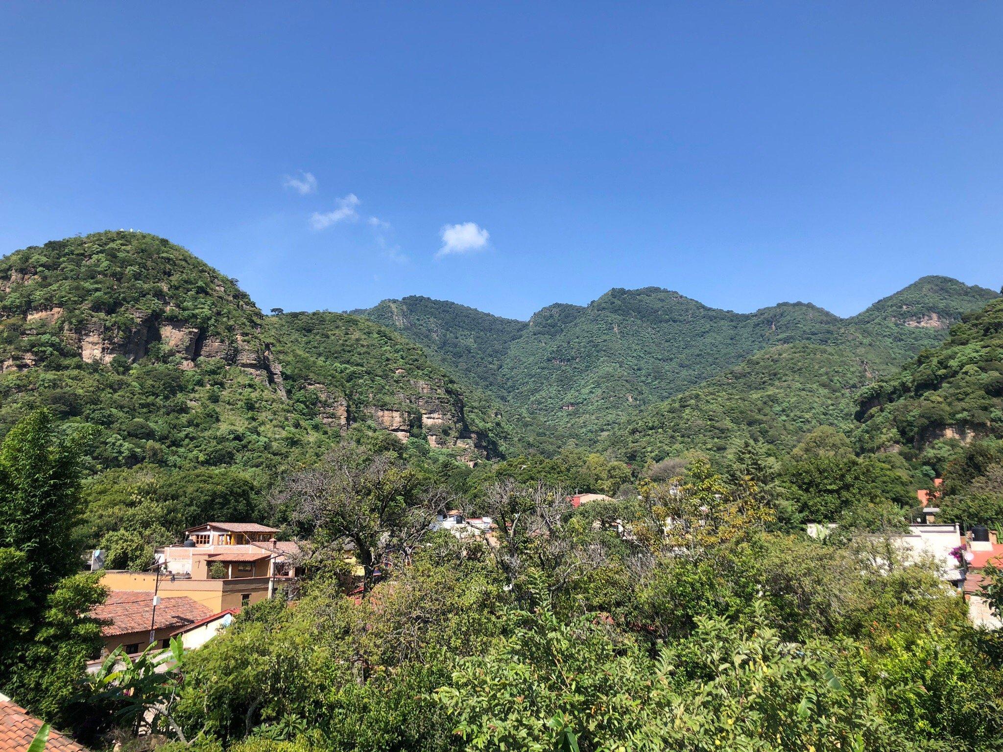 LA GALERÍA arte + cafe