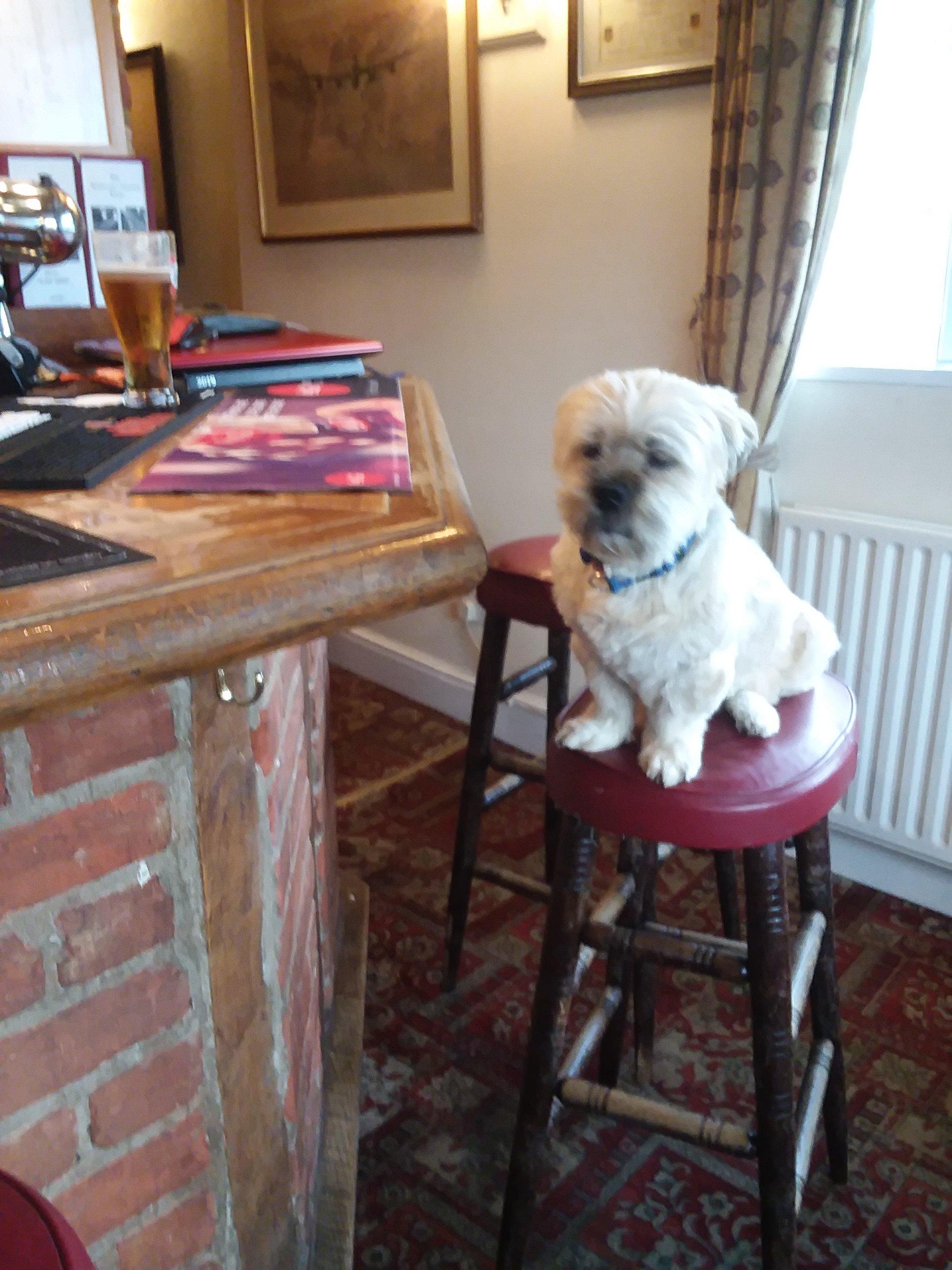 The Stukeleys Country Hotel