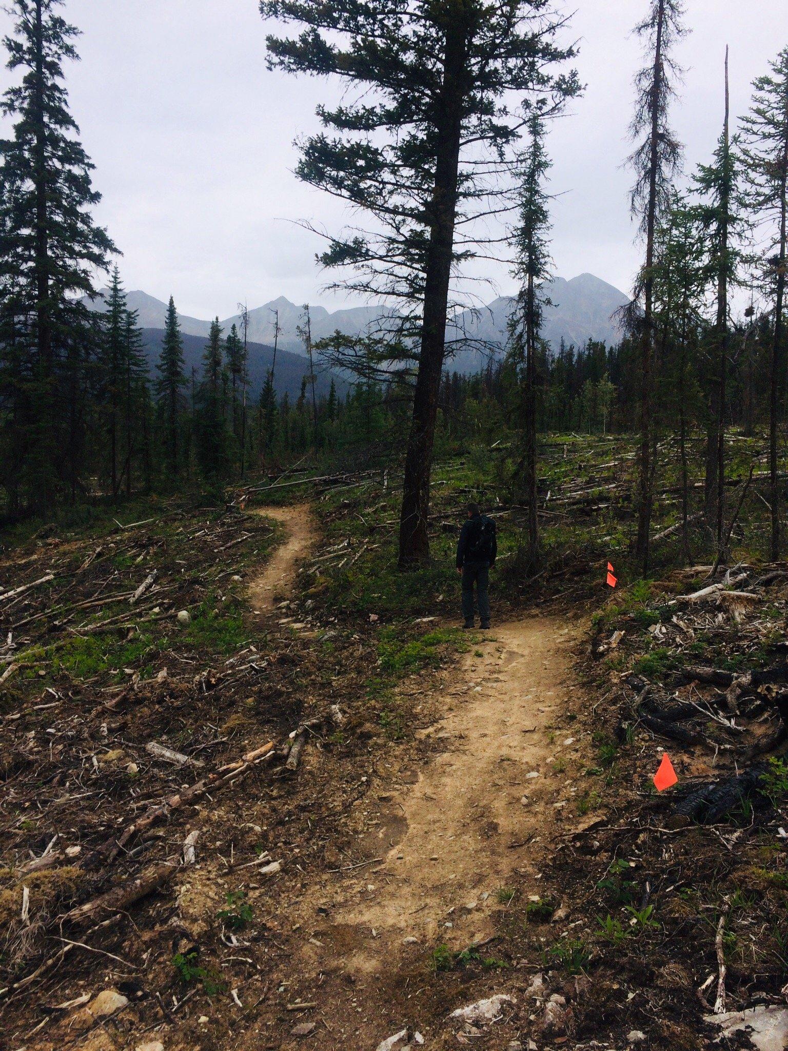 Mina - Riley Lakes Loop