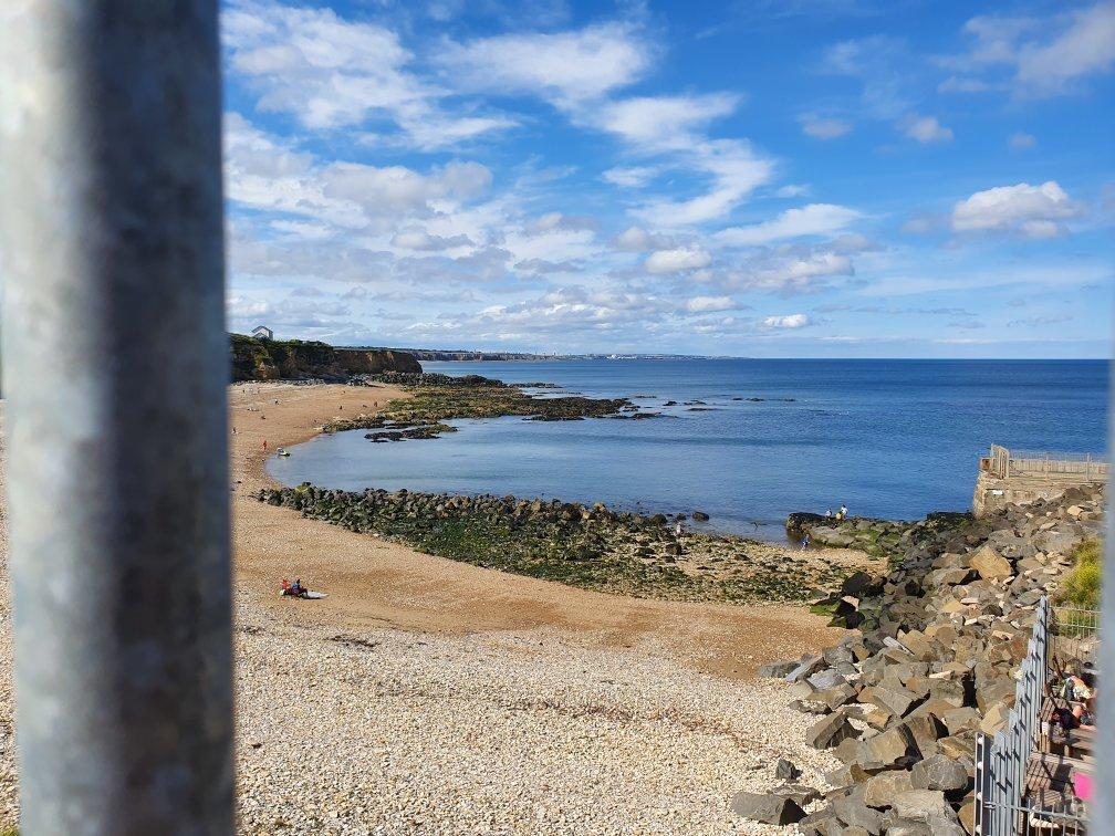 Flamingo Bar and Cafe