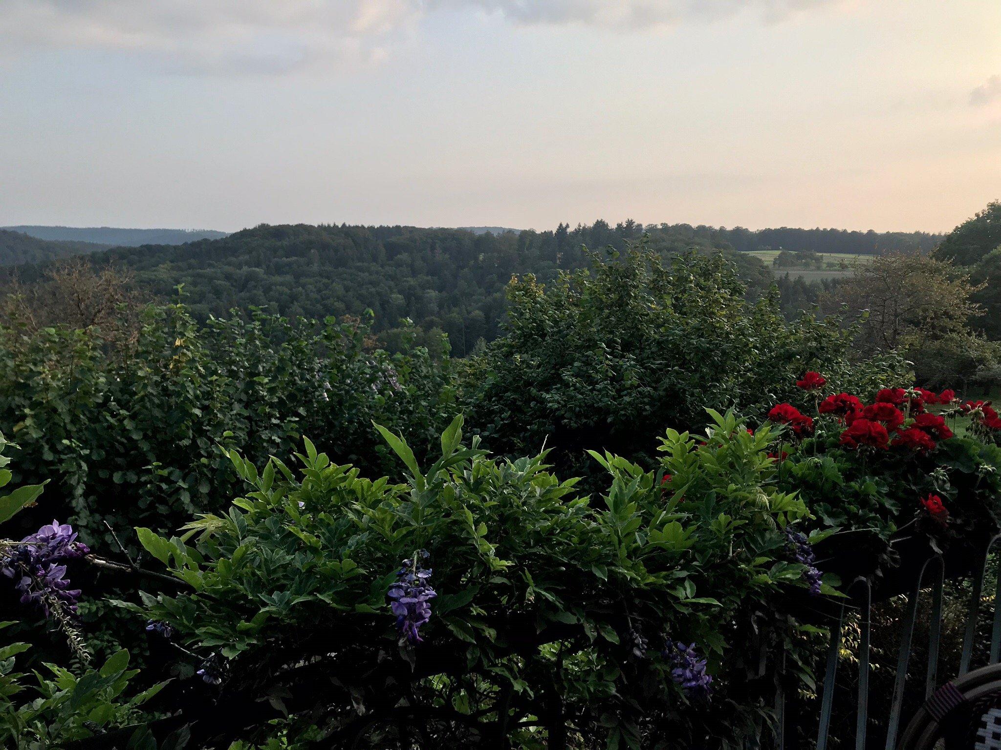 Photo by sarakatharina3112