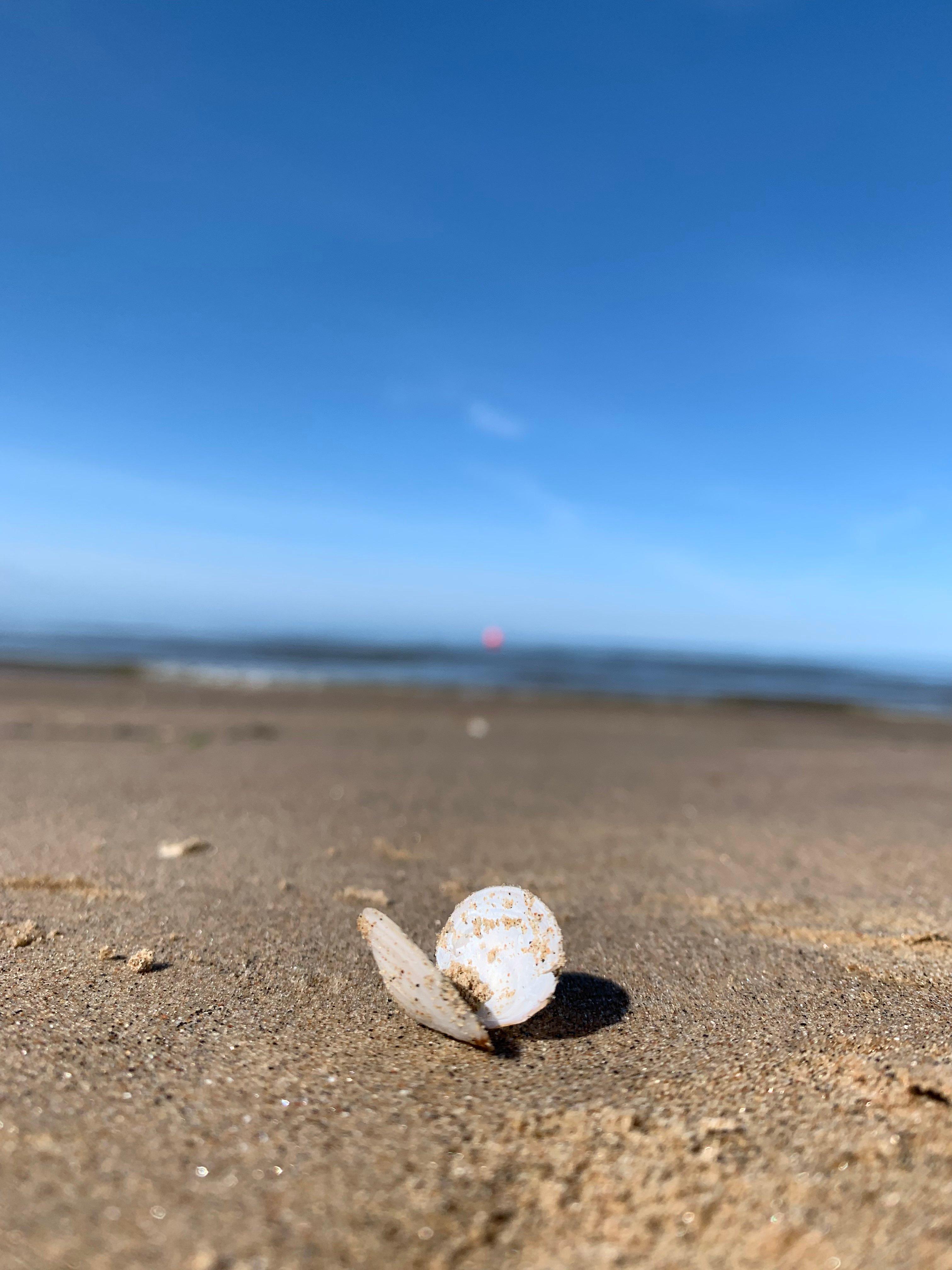 Photo by Алена К