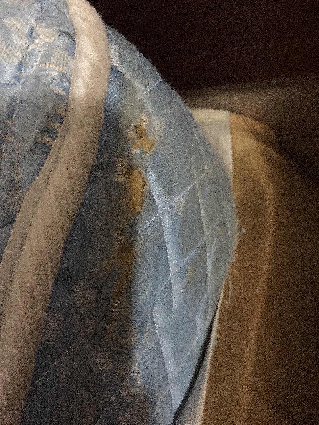 Affordable Suites Burlington