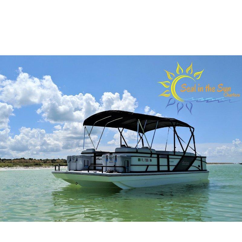 Seal in the Sun Charters