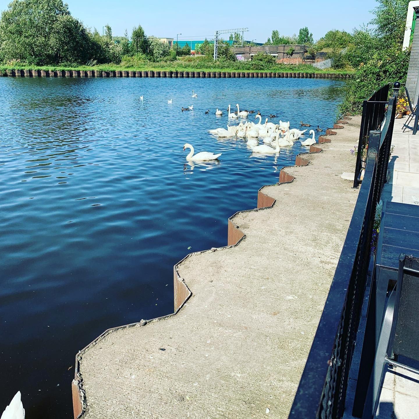 Photo by DaisyWorksop