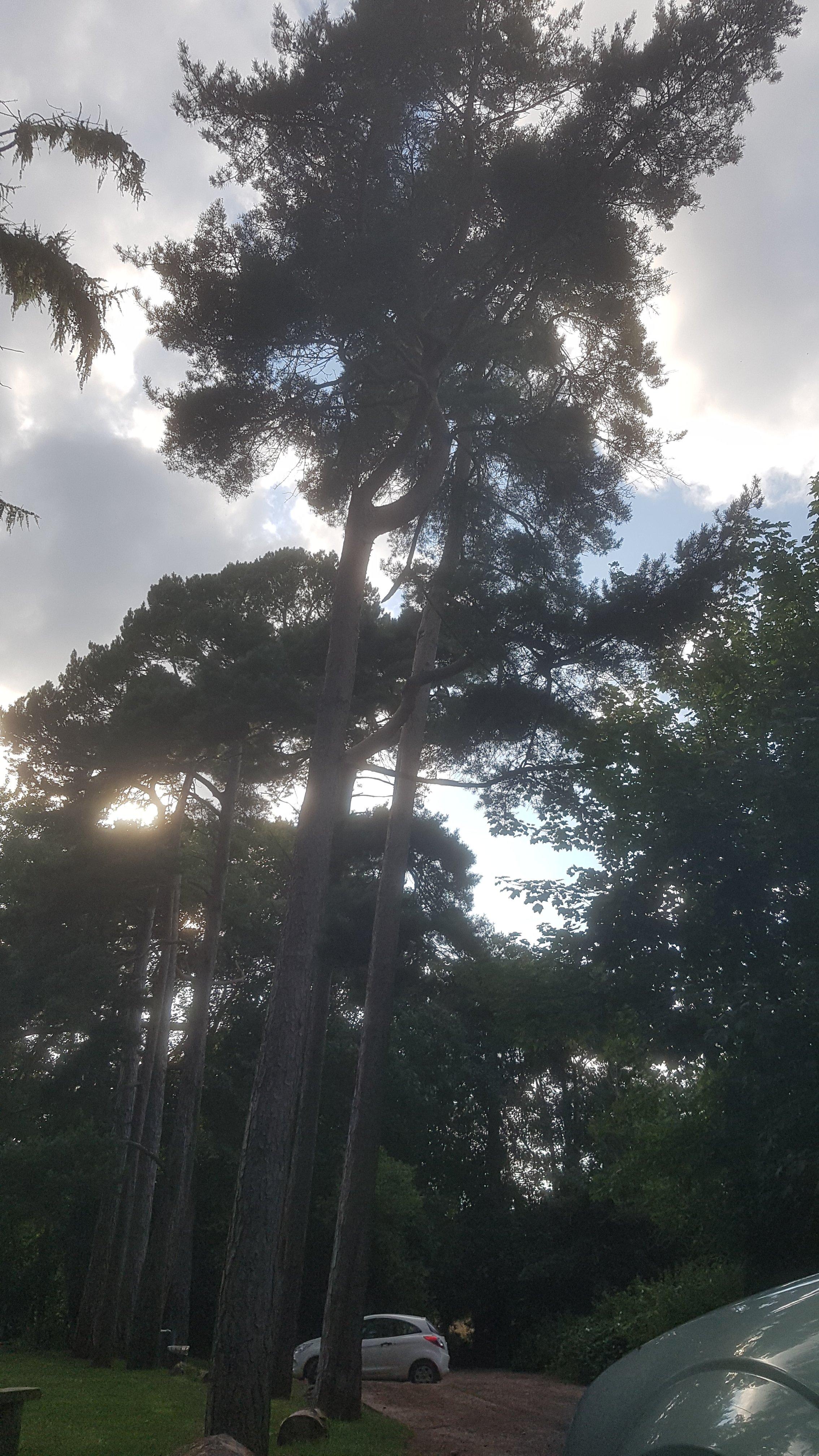 Photo by johnbthorne