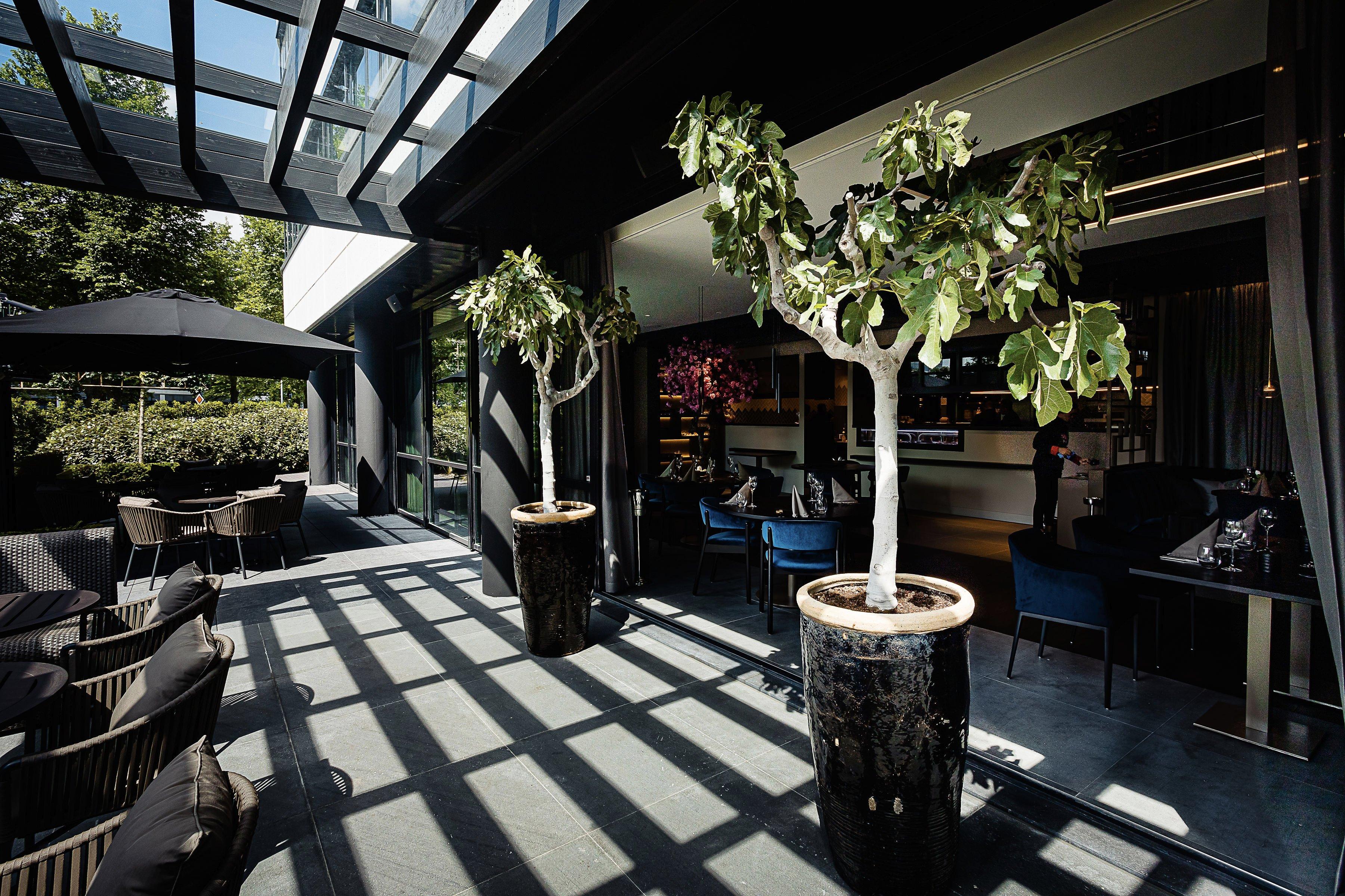 Masami Fusion Cuisine