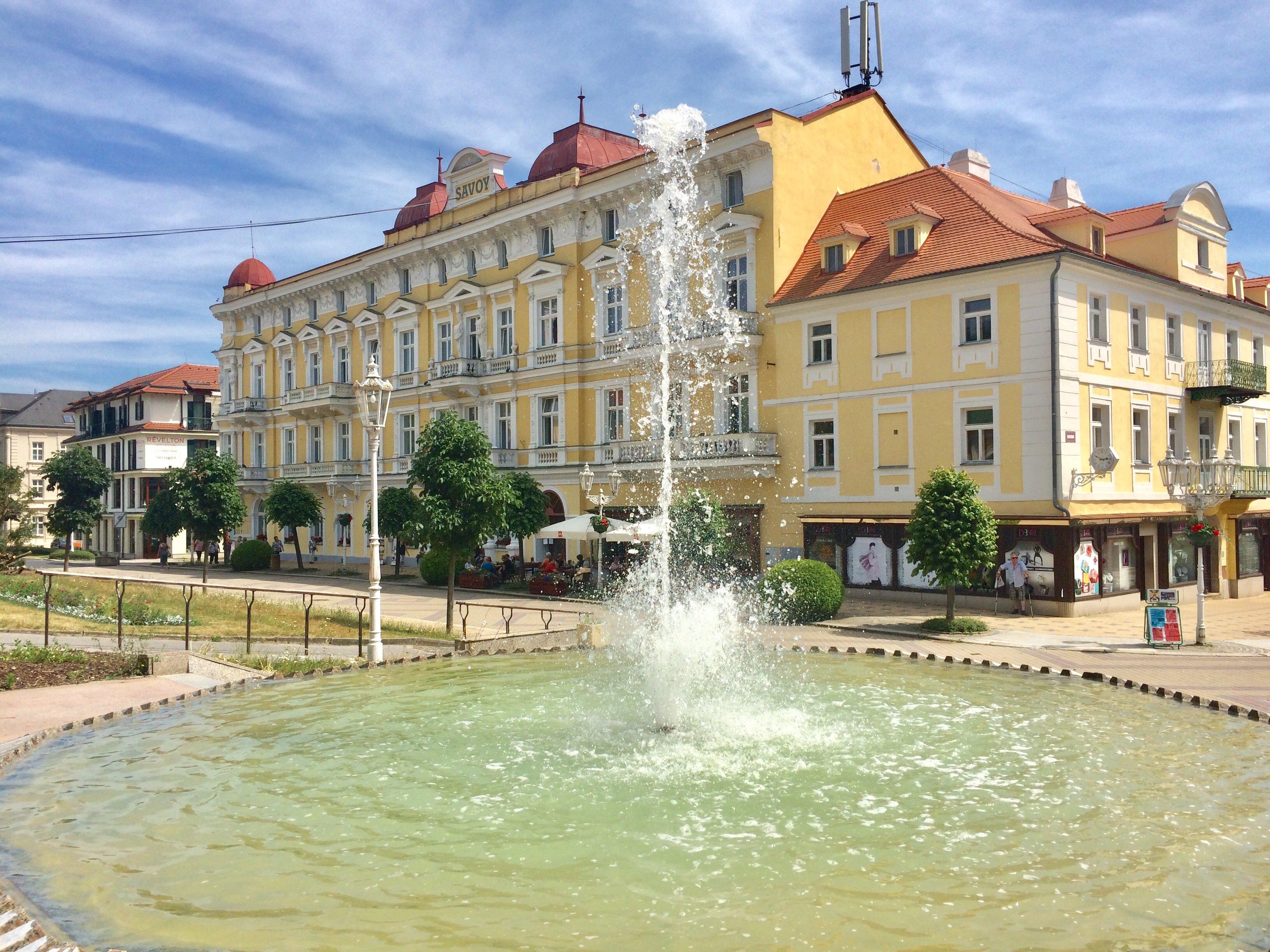 Savoy Spa & Kurhotel