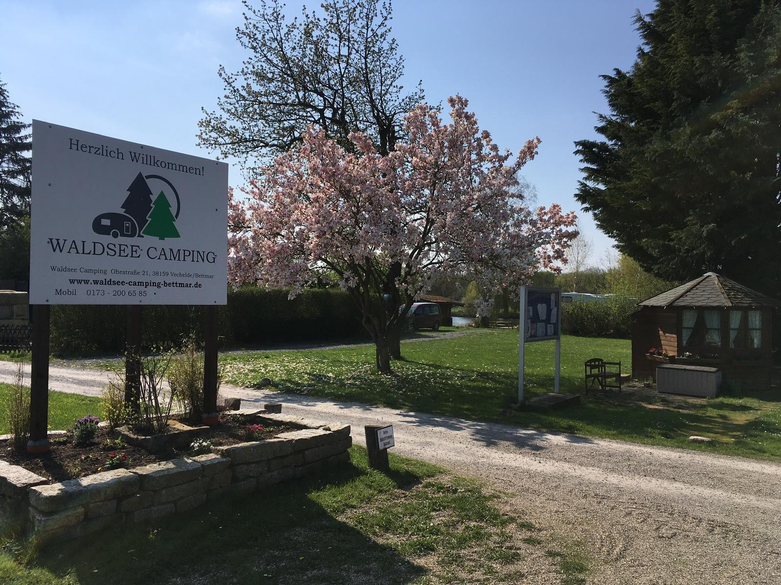 Waldsee Camping Bettmar