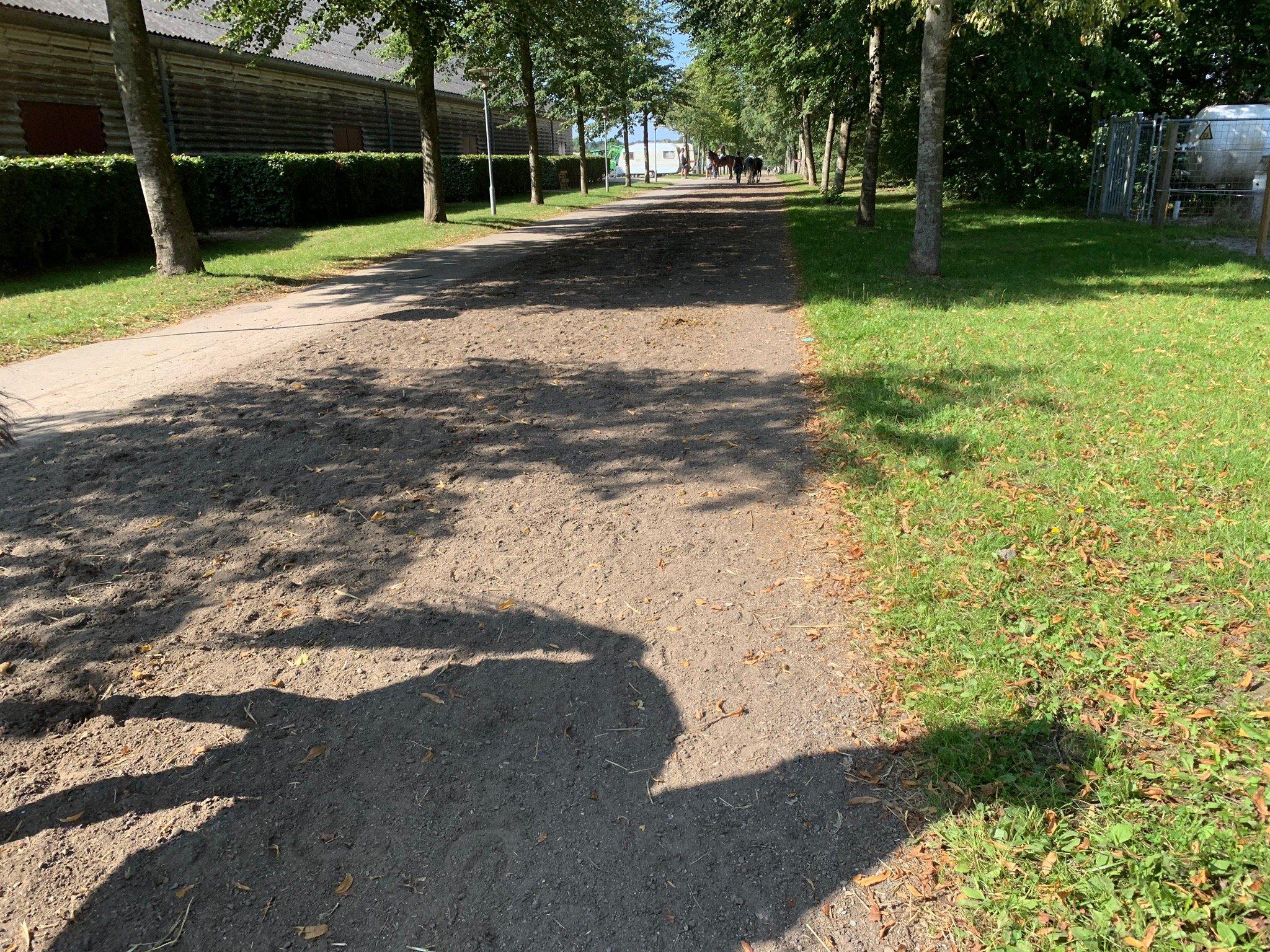 Det Nationale Hestesportscenter Vilhemsborg